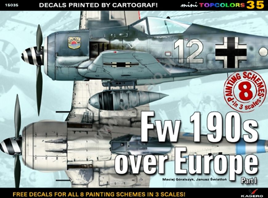Fw 190s over Europe Part 1