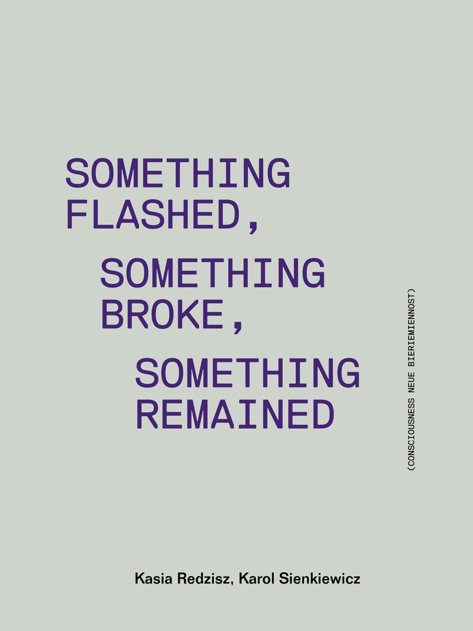Something Flashed, Something Broke, Something Remained: Consciousness Neue Bieremiennost