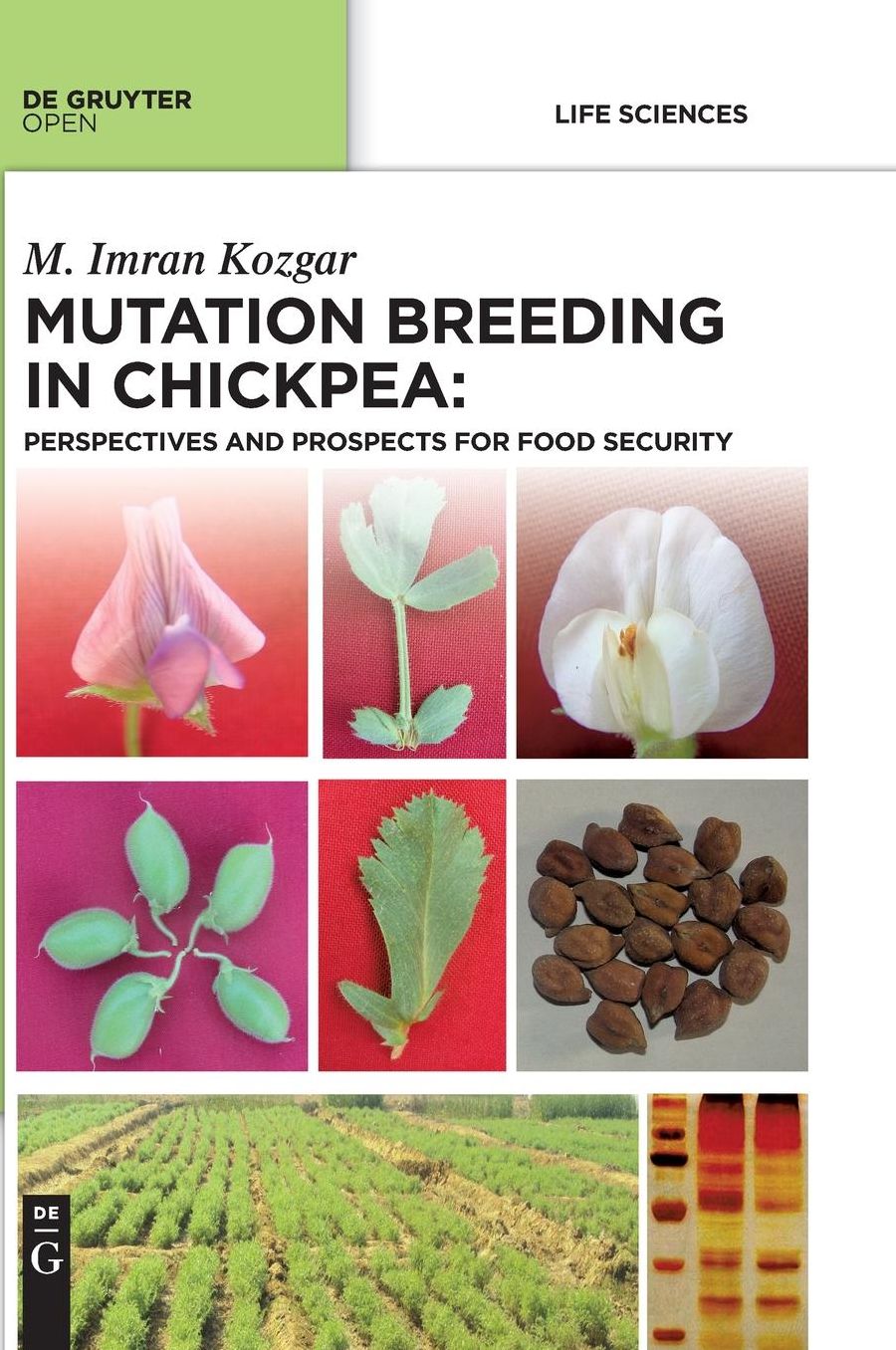Mutation Breeding in Chickpea:: Perspectives and Prospects for Food Security