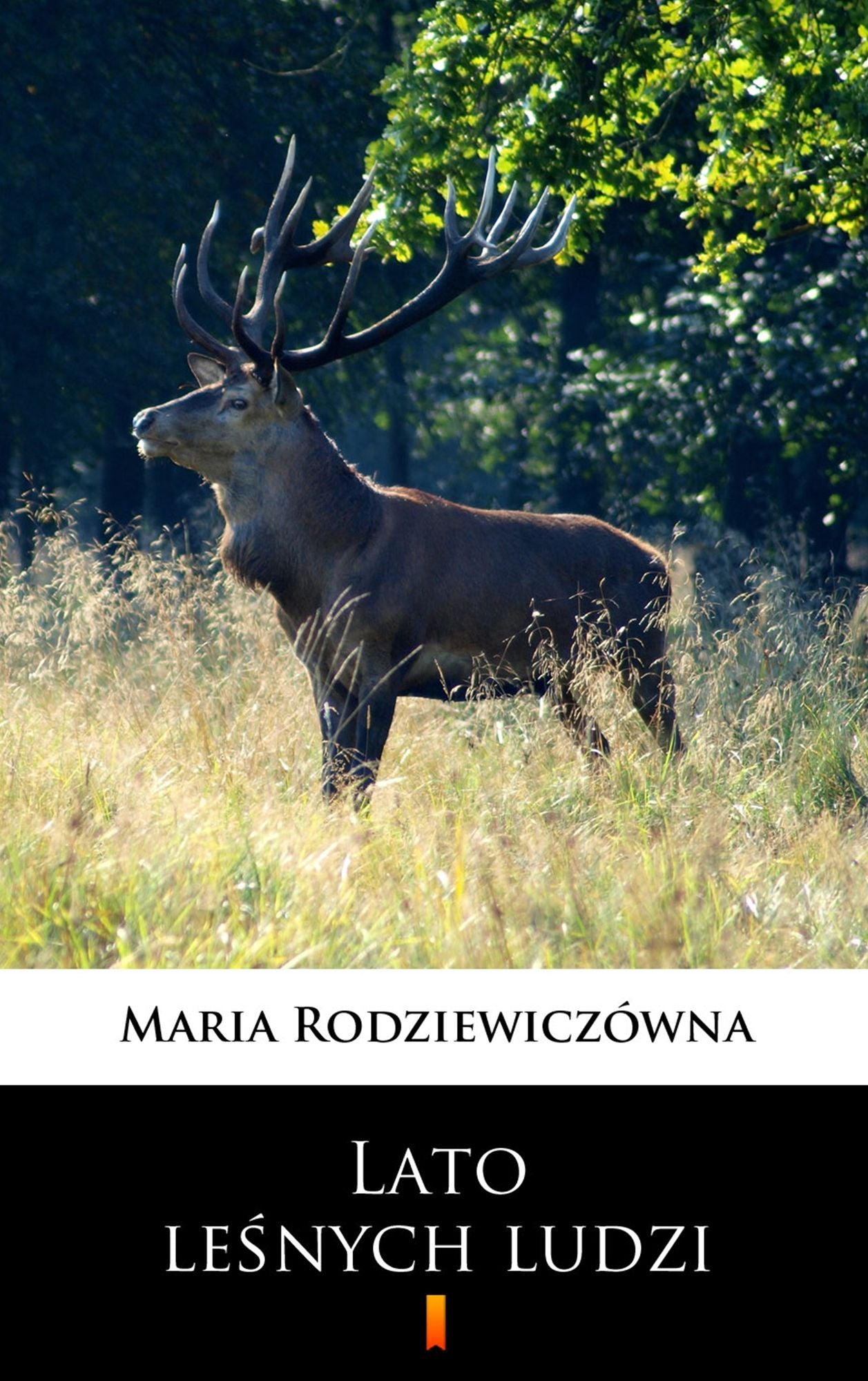 Lato lesnych ludzi