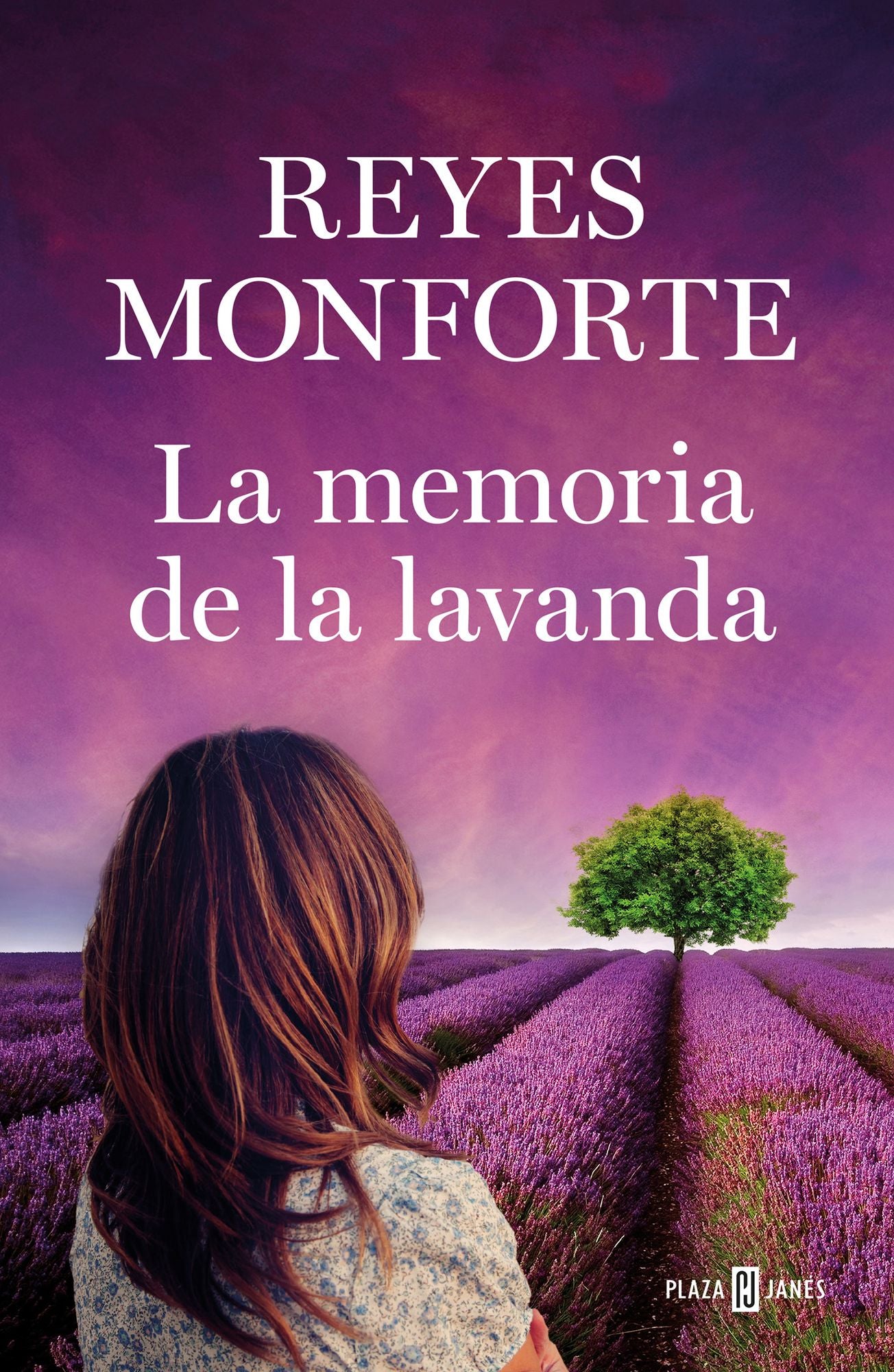 La Memoria de la Lavanda / Memories of Lavender