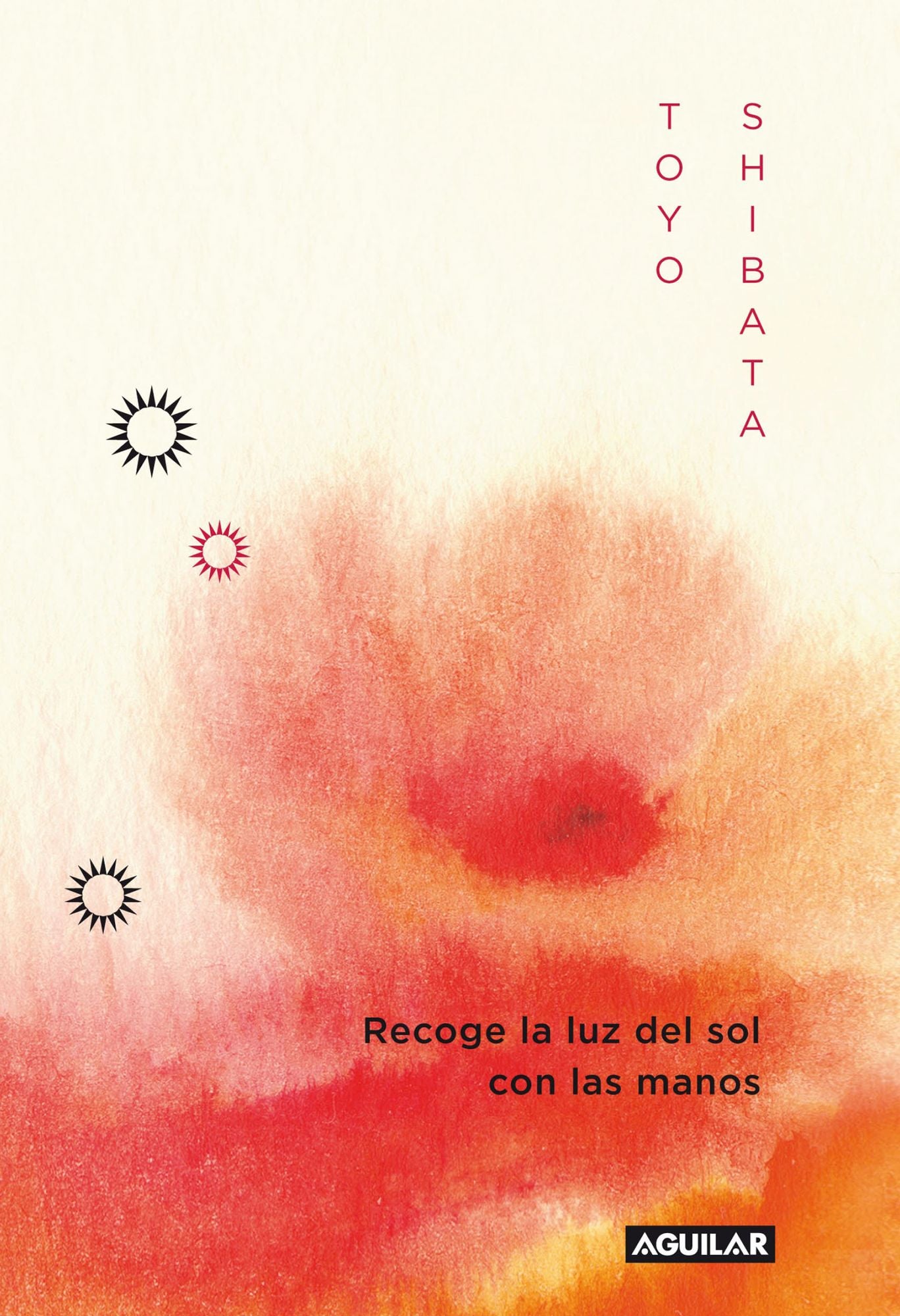 Recoge la luz del sol con las manos: Palabras que curan, que aportan felicidad.