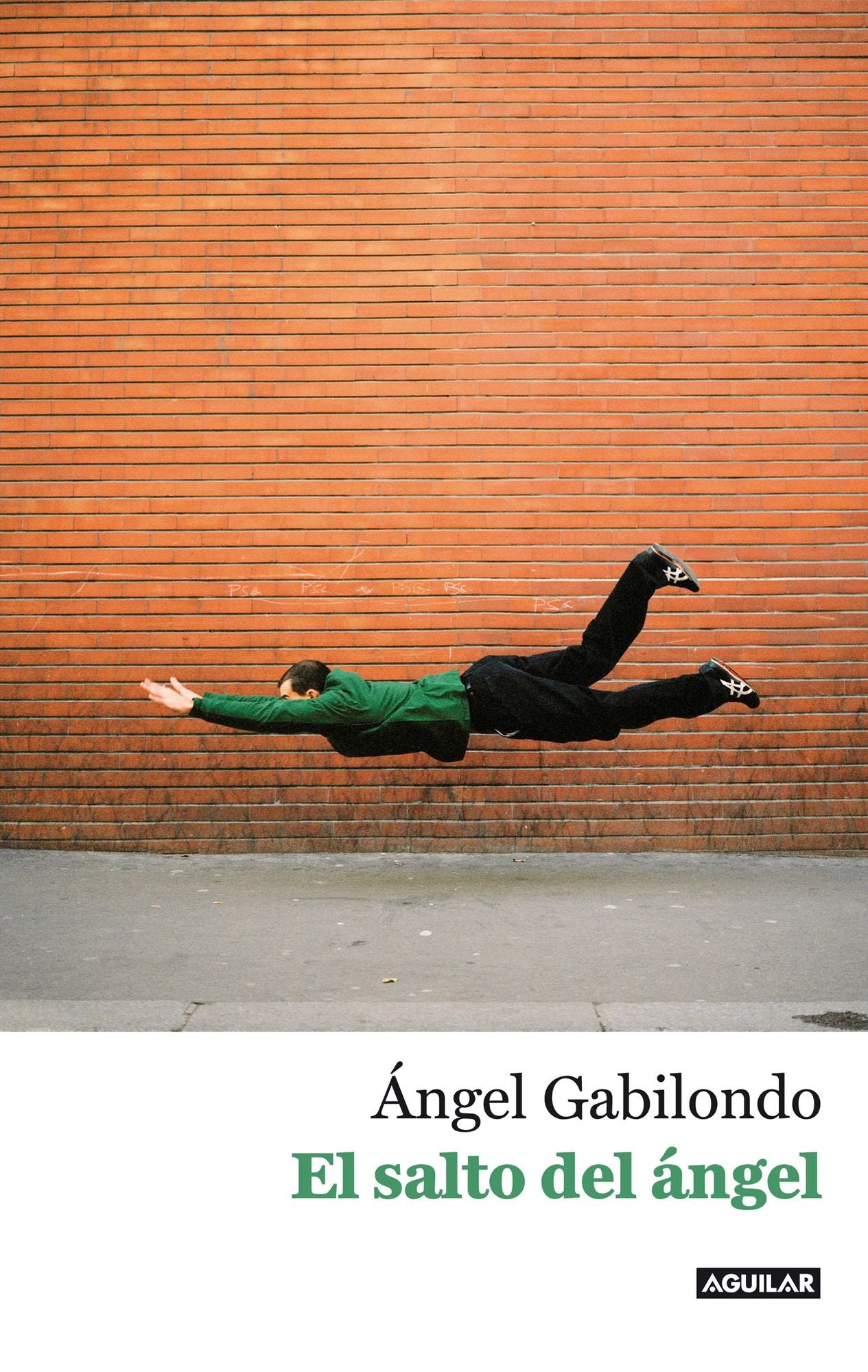 El salto del ángel. Palabras para comprendernos