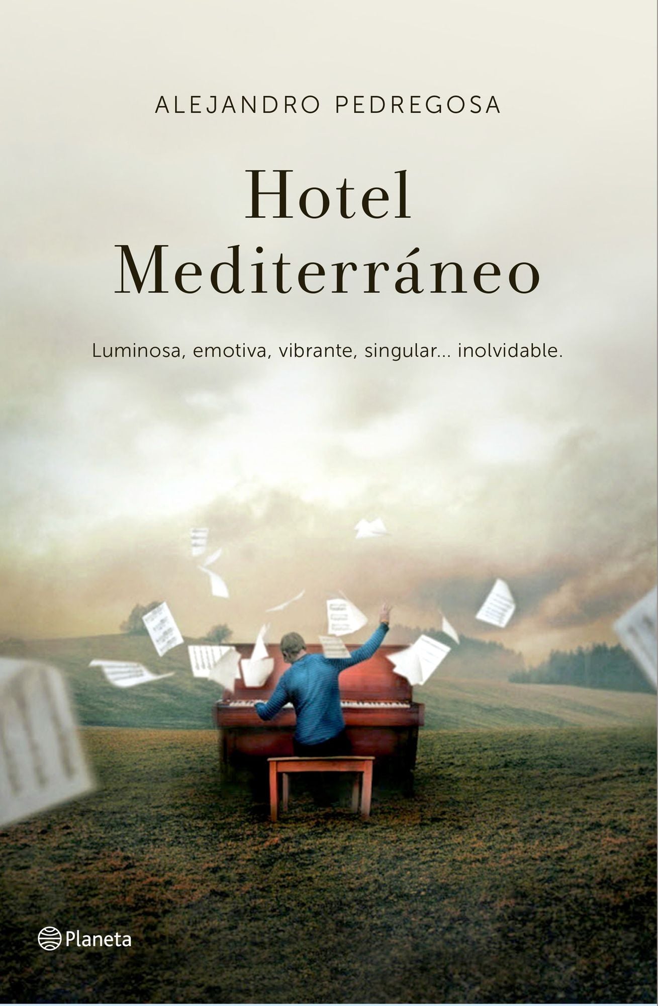 Hotel Mediterráneo