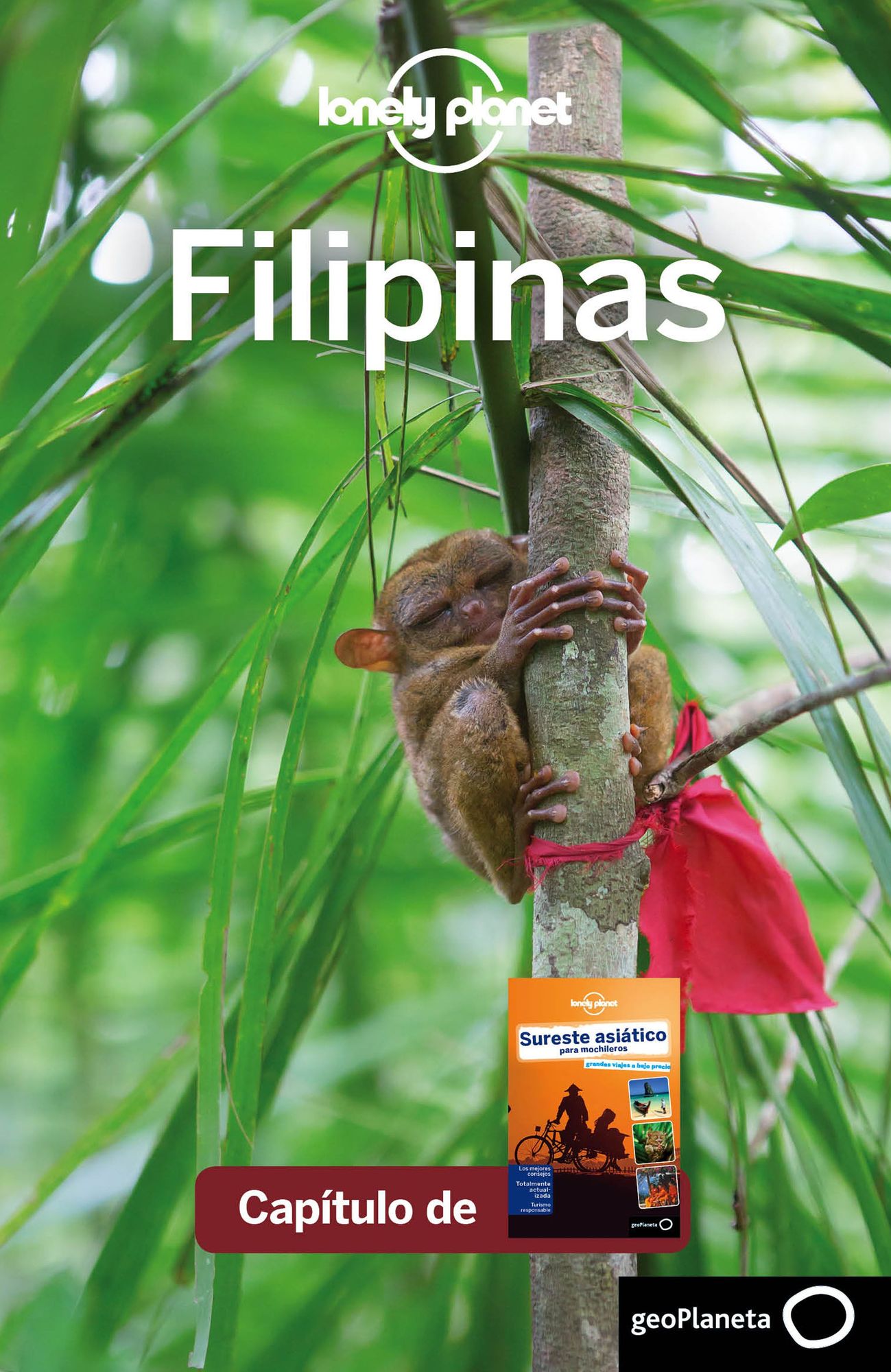 Sureste asiático para mochileros 4_8. Filipinas