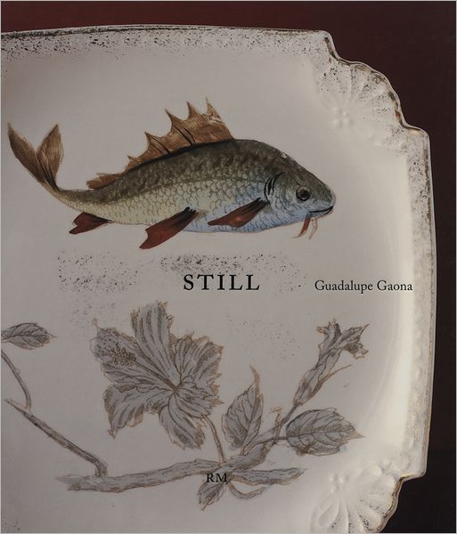 Guadalupe Gaona: Still
