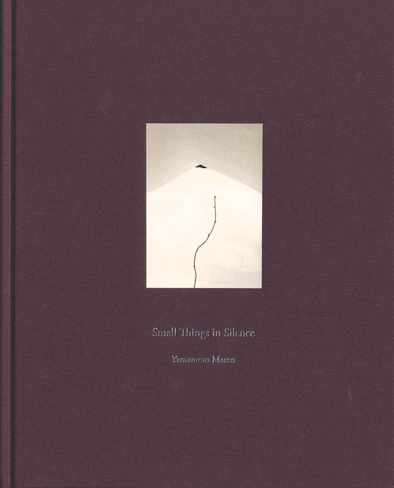 Masao Yamamoto: Small Things in Silence