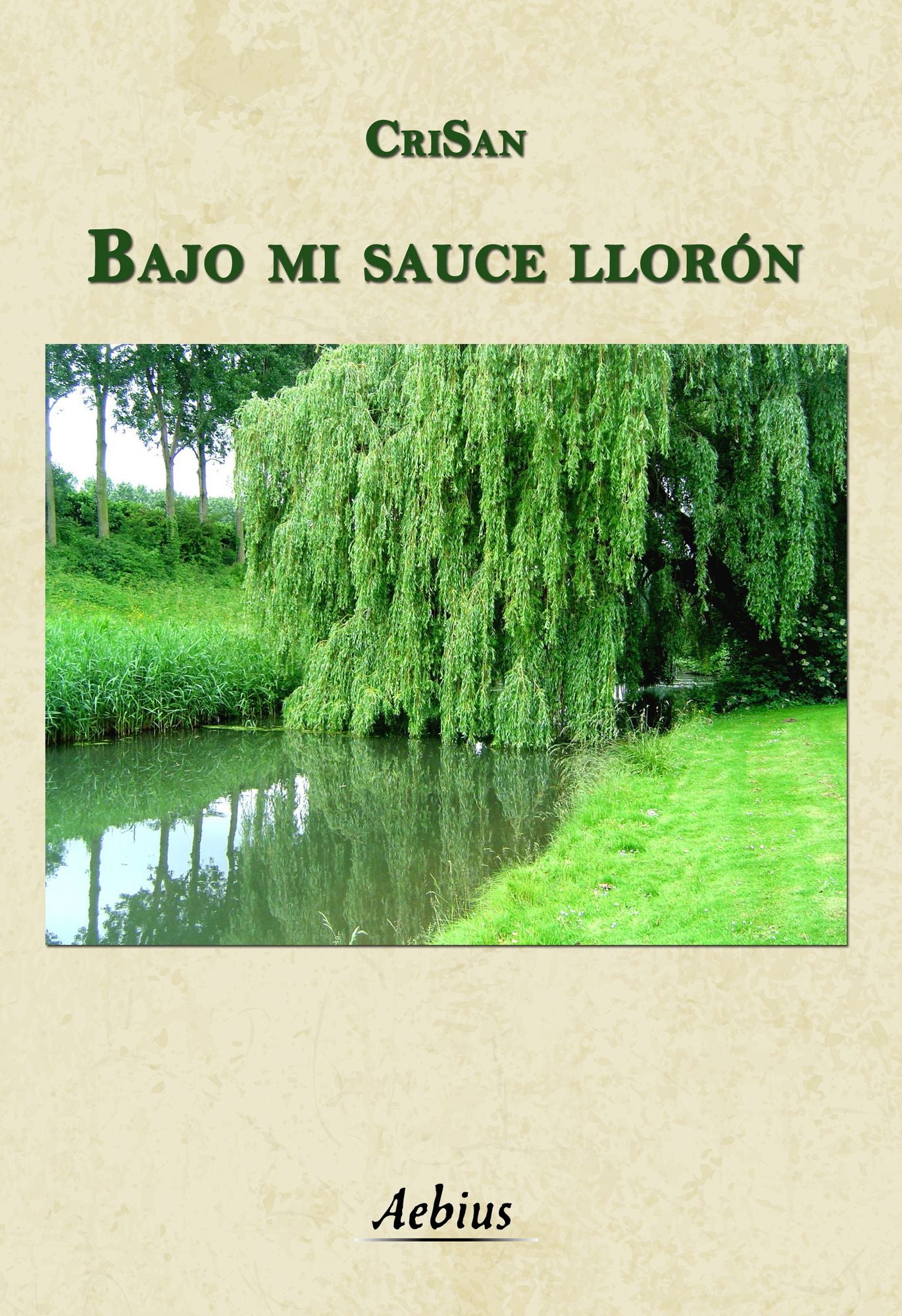 Bajo mi sauce llorón
