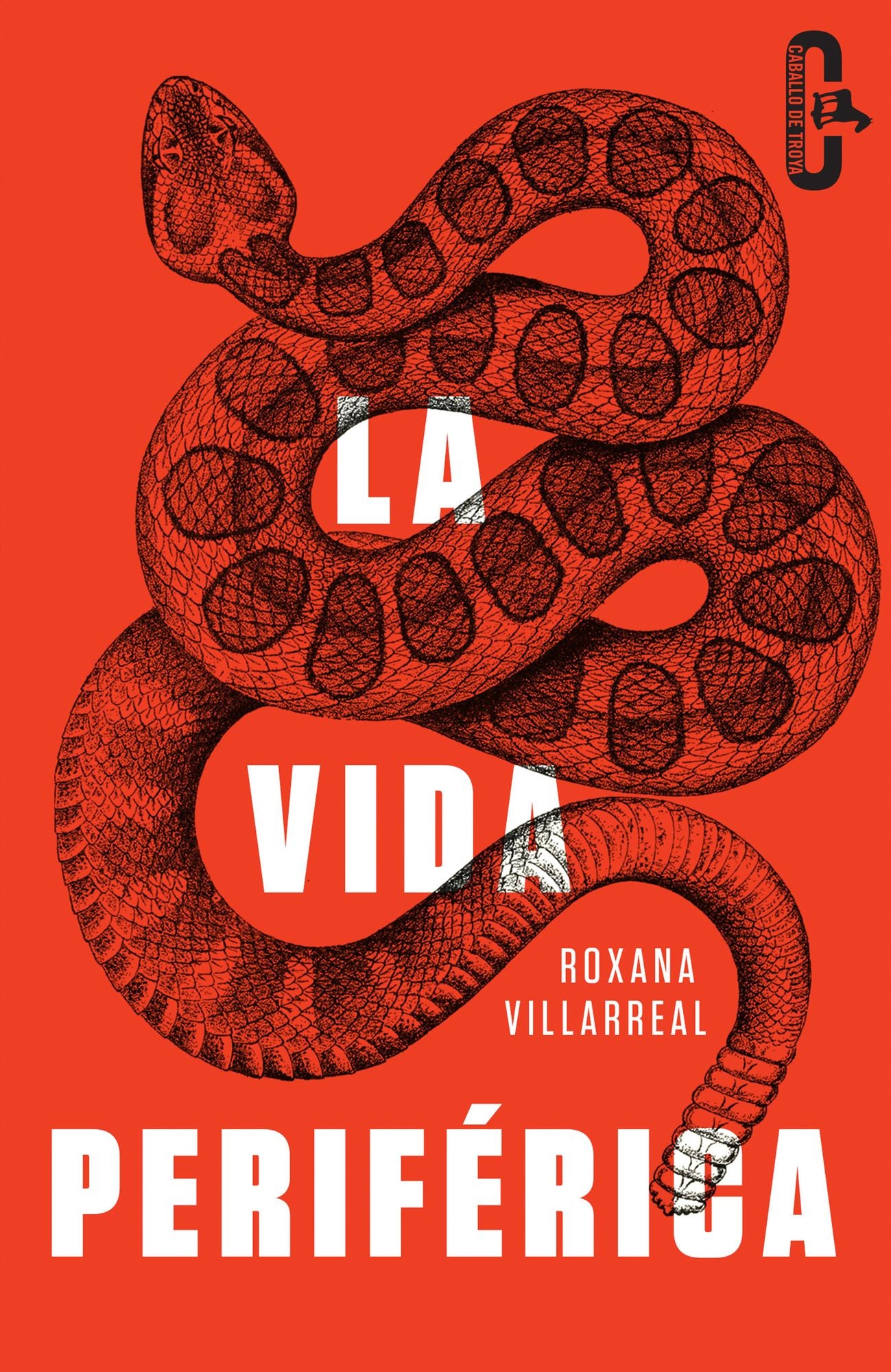 La vida periférica (Caballo de Troya 2015, 4)