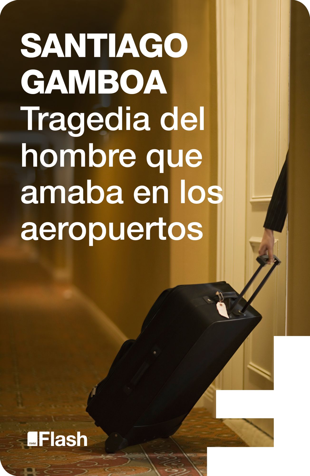 Tragedia del hombre que amaba en los aeropuertos (Flash)