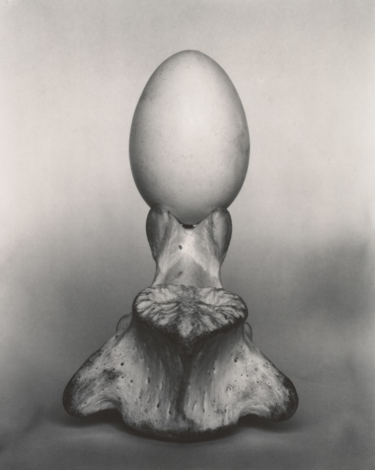 Edward Weston & Harry Callahan: He, She, It