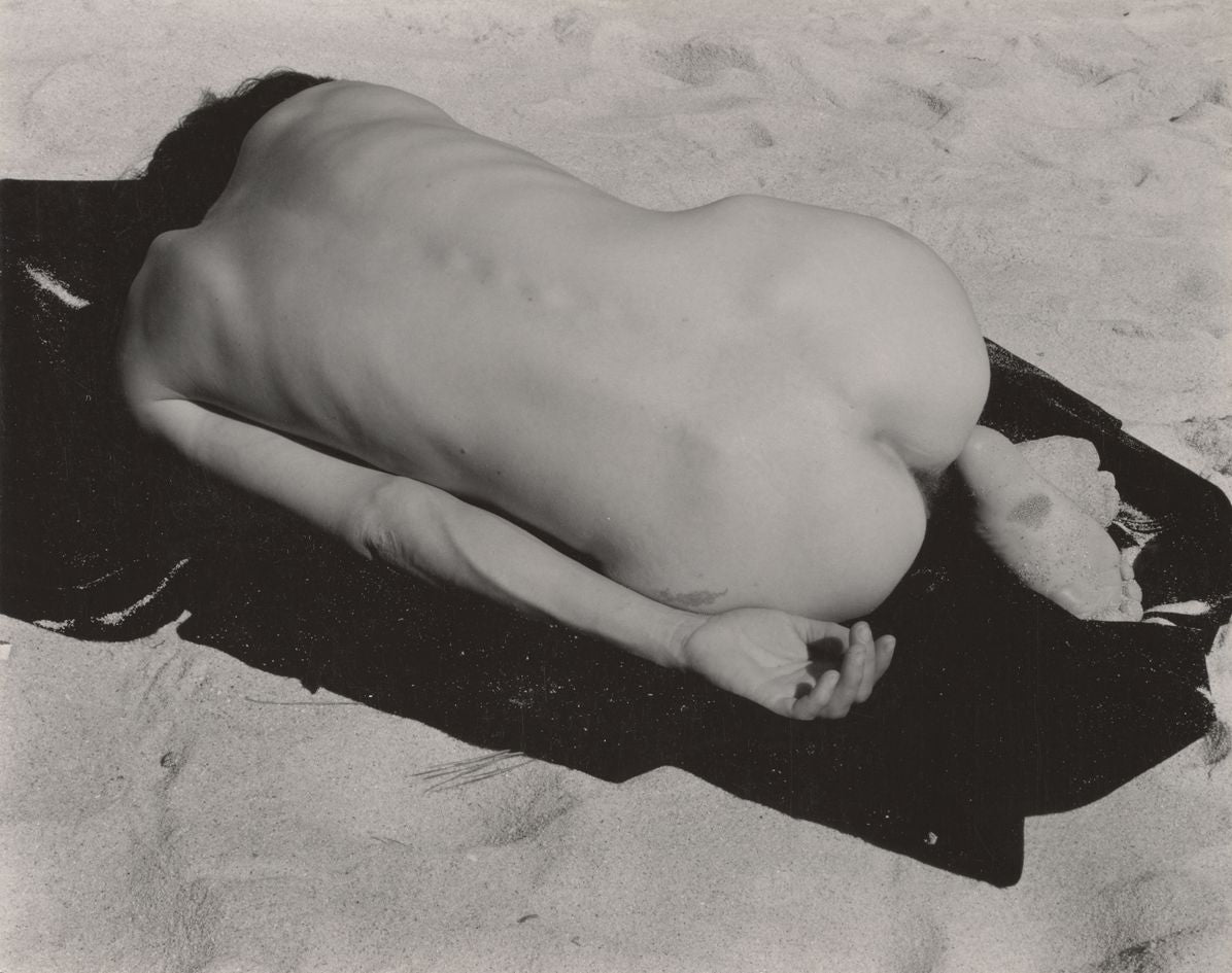 Edward Weston & Harry Callahan: He, She, It