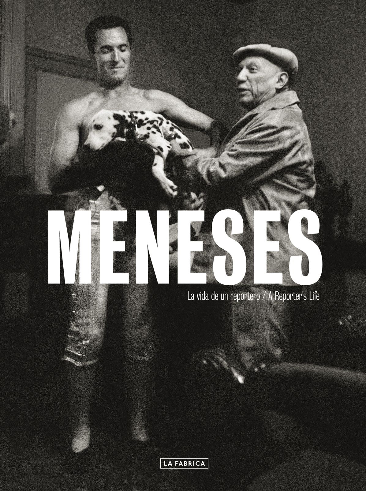 Enrique Meneses