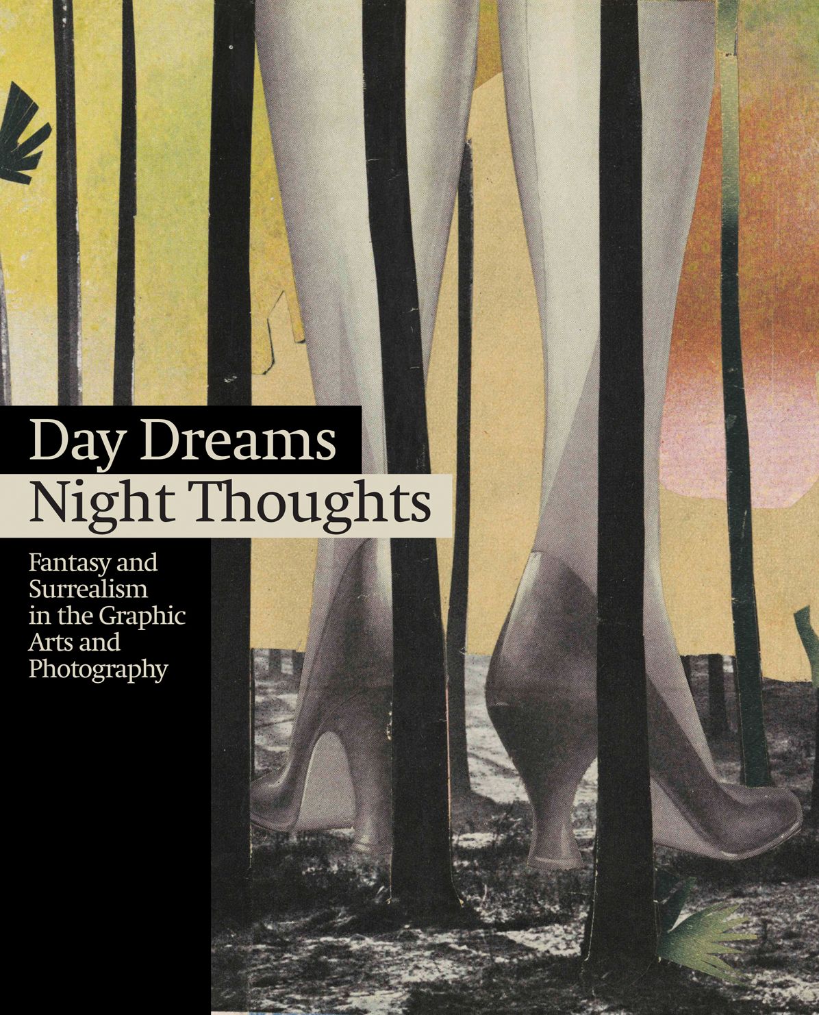 Day Dreams, Night Thoughts: Fantasy and Surrealism in the Graphic Arts and Photography