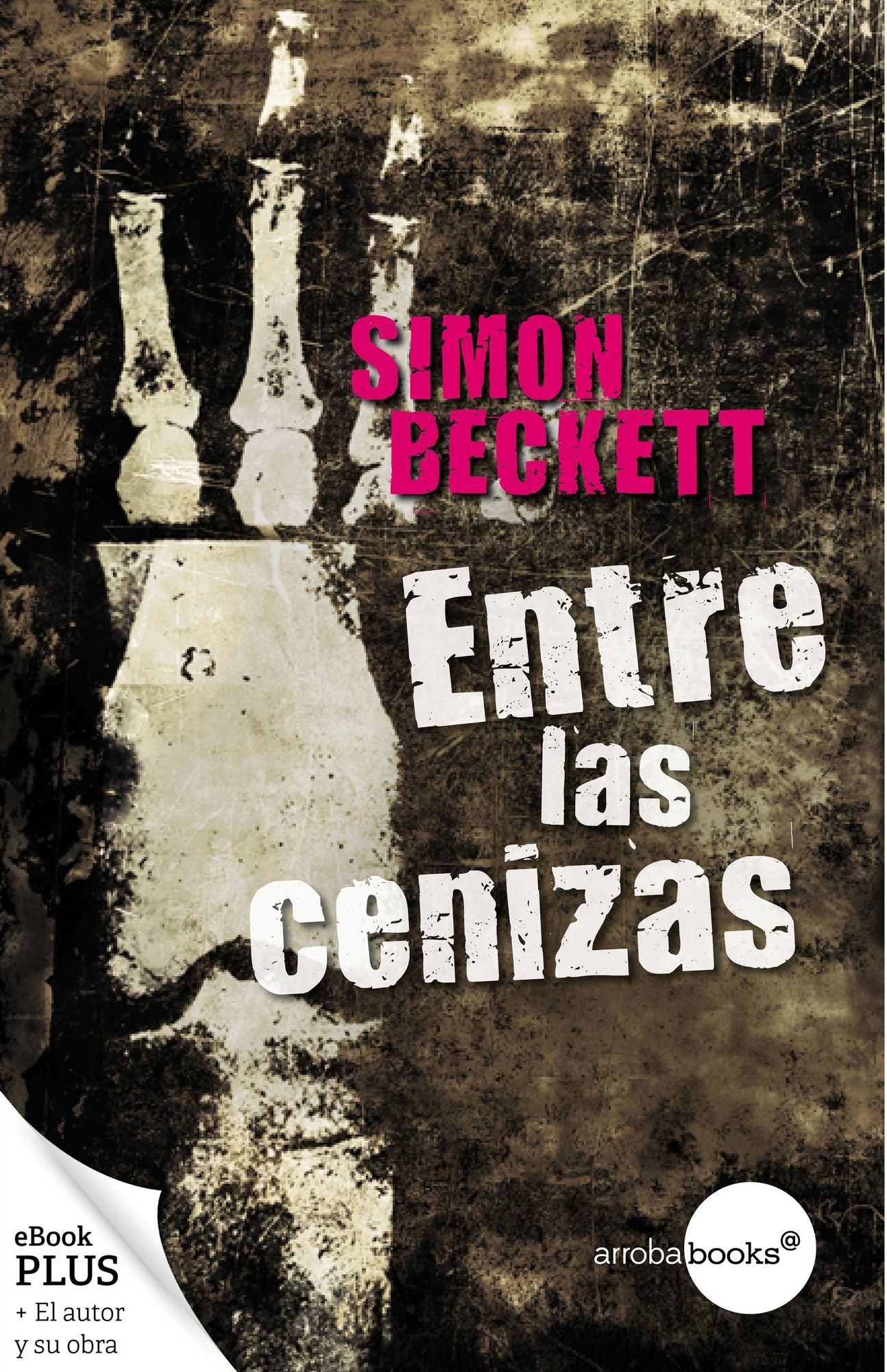 Entre las cenizas (antropólogo forense David Hunter, 2)