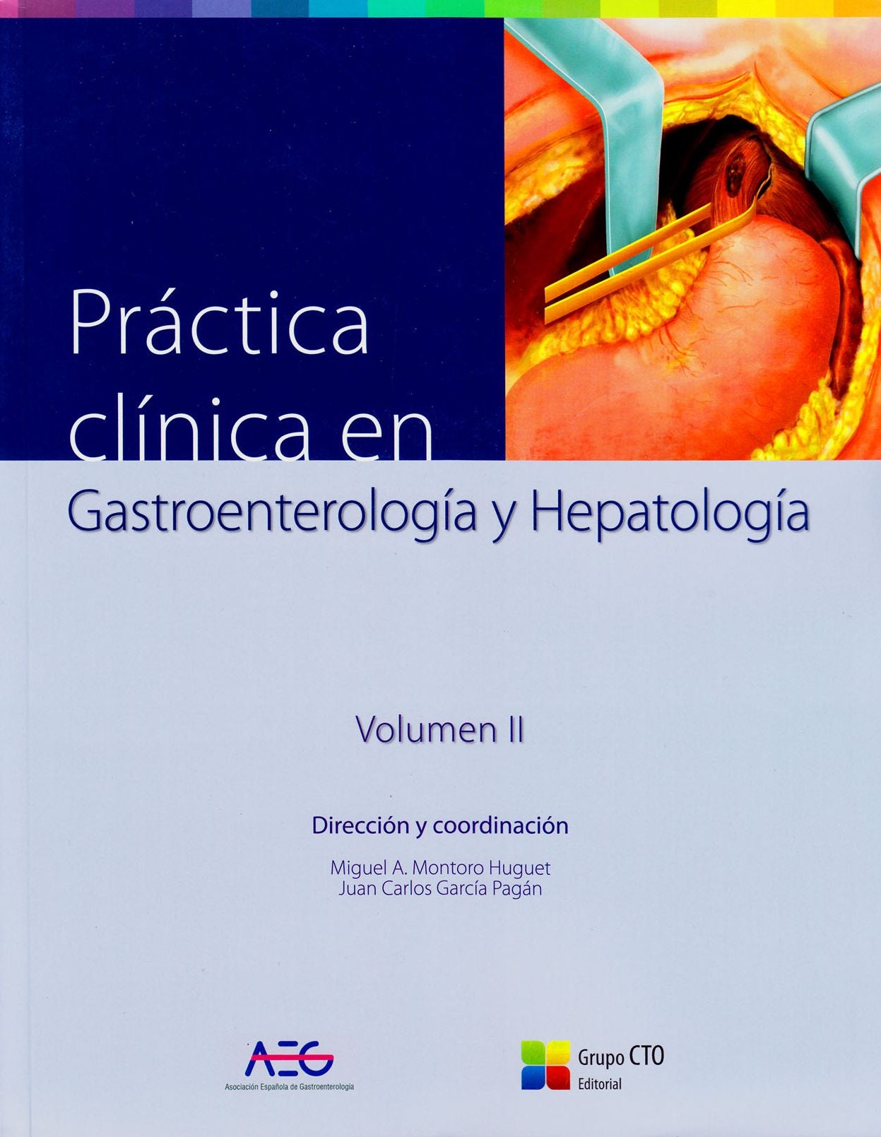 Practica Clinica En Gastroenterologia y Hepatologia: Volumen 1 2