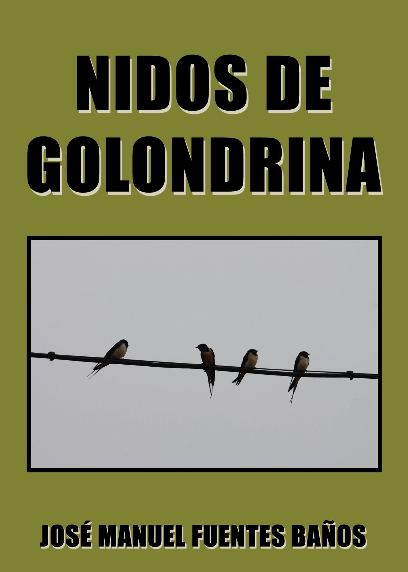 Nidos de golondrina