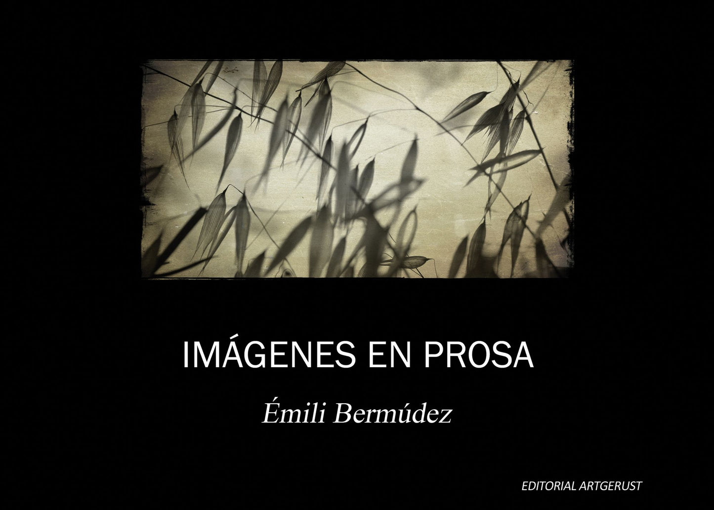 Imágenes en prosa
