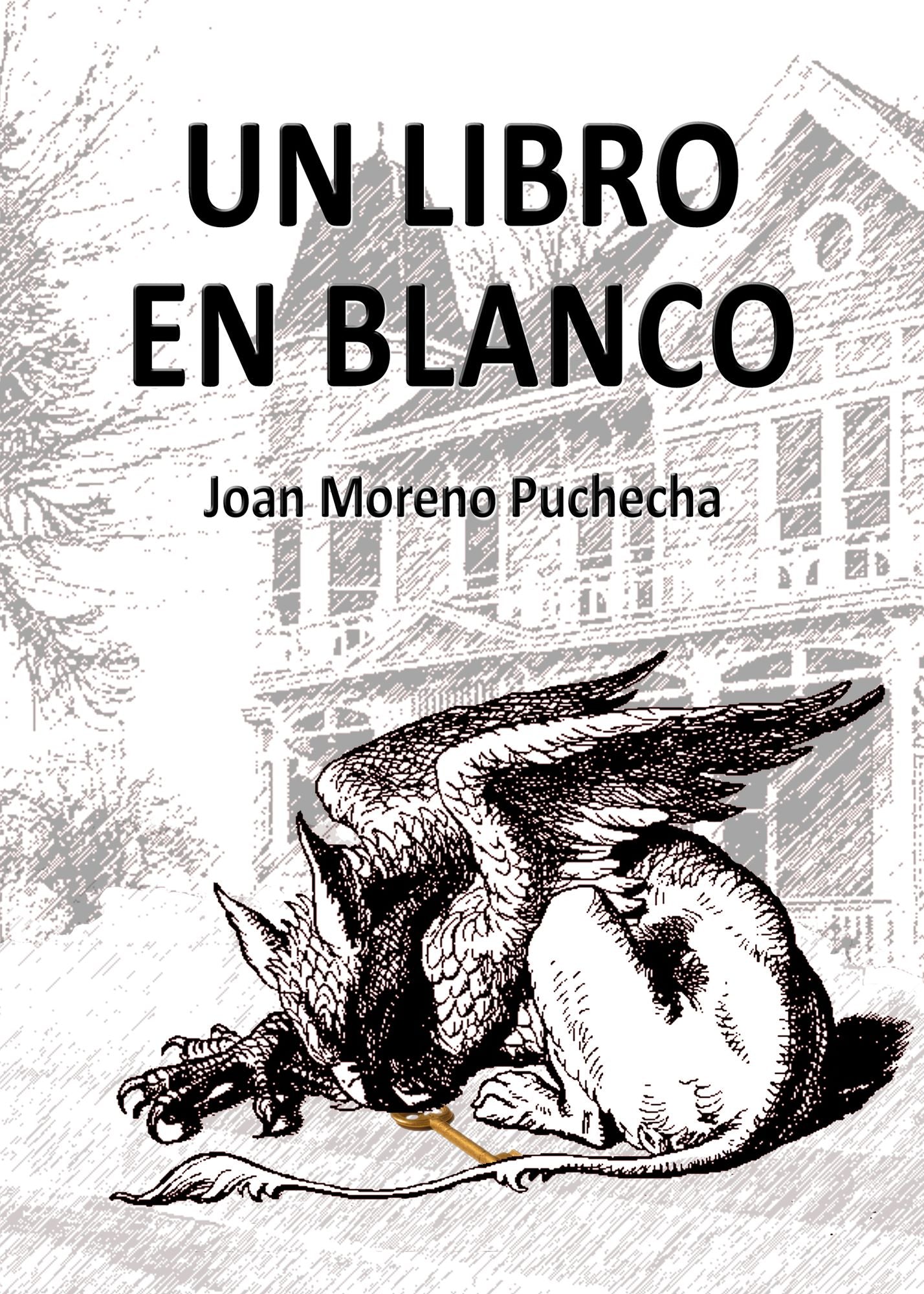 Un libro en blanco