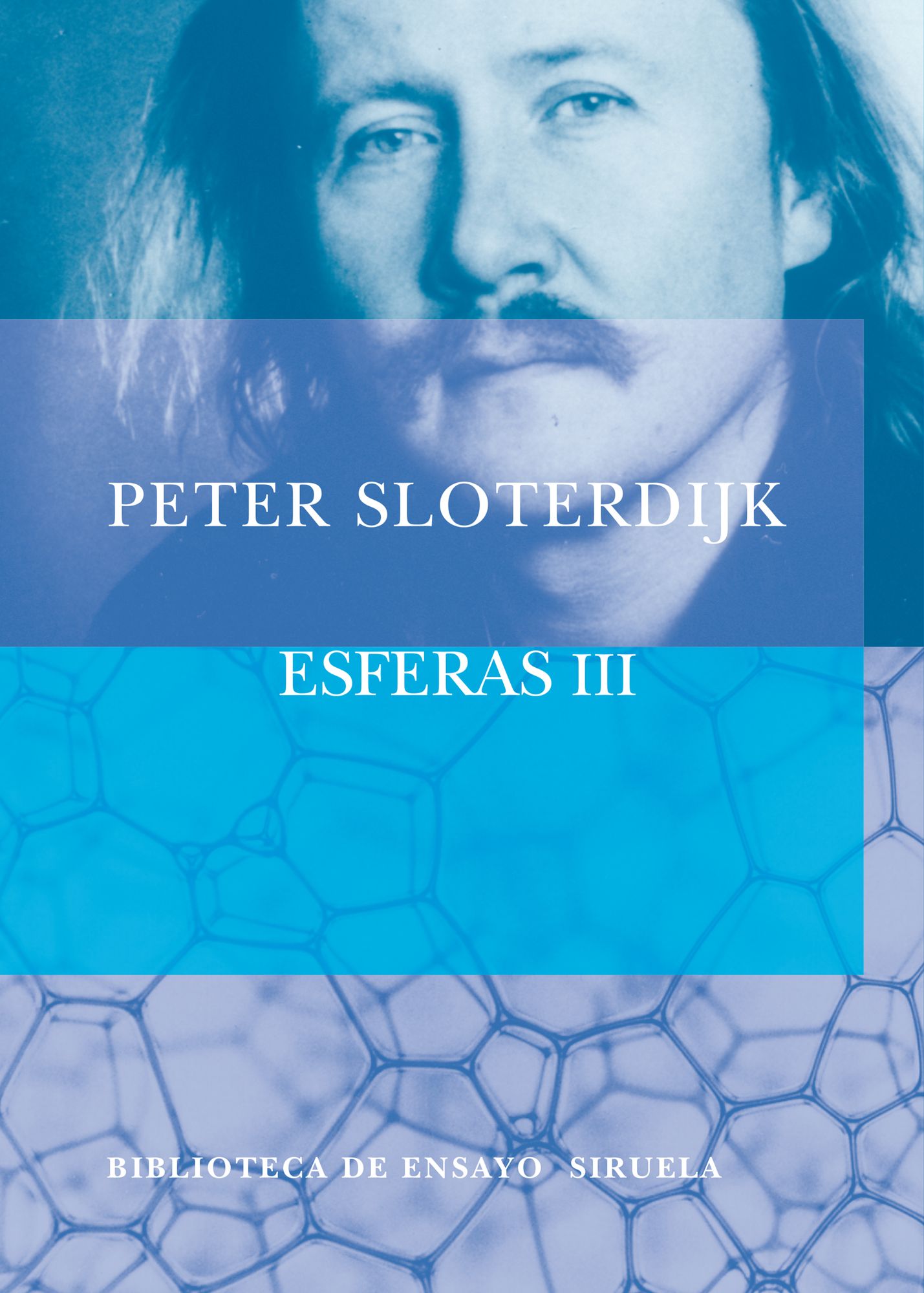 Esferas III: Espumas. EsferologÃ­a plural