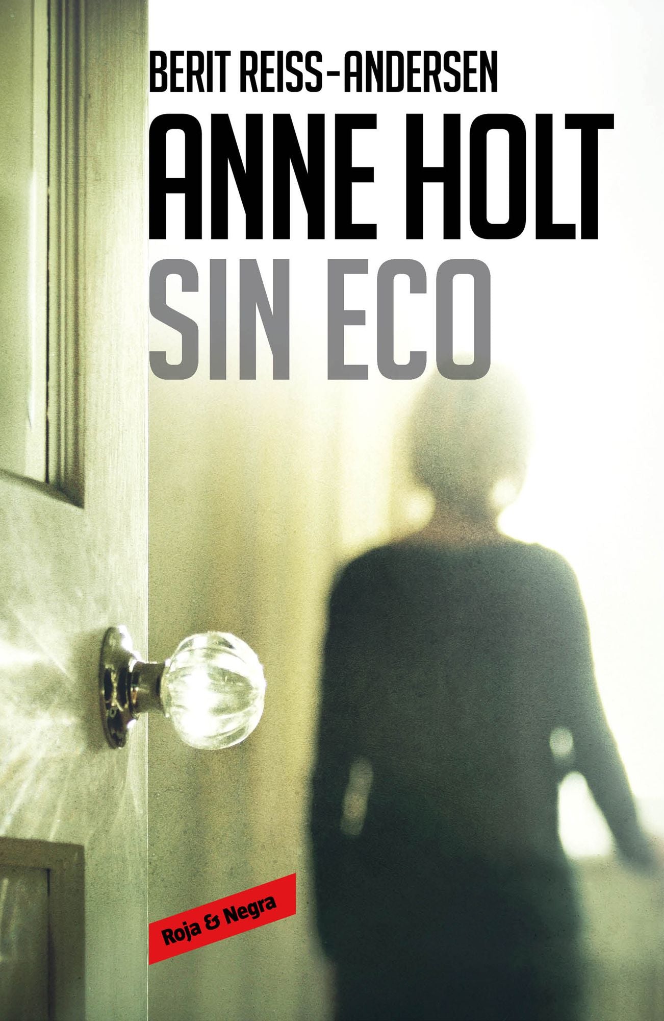 Sin eco (Hanne Wilhelmsen 6)