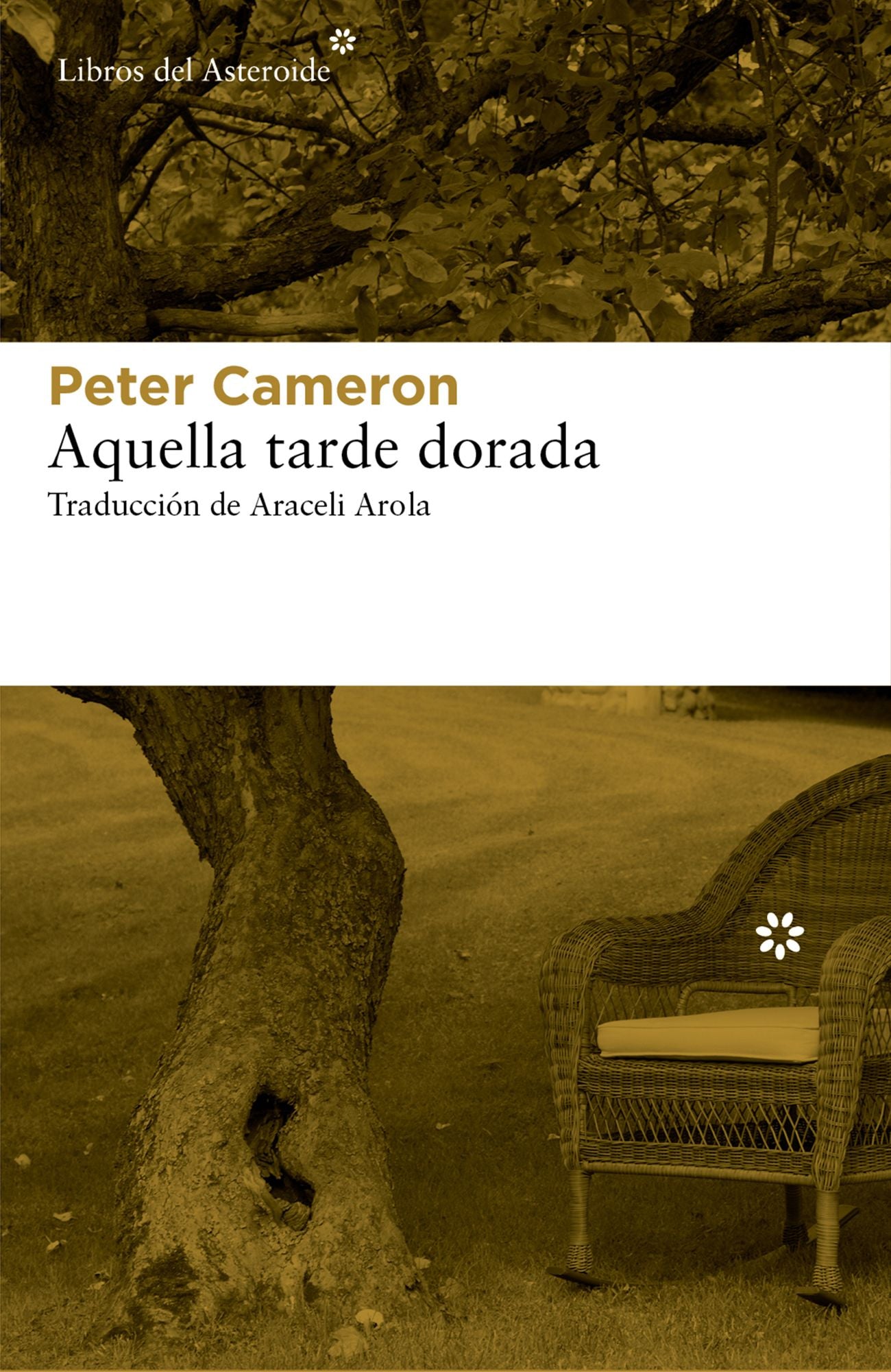 Aquella tarde dorada