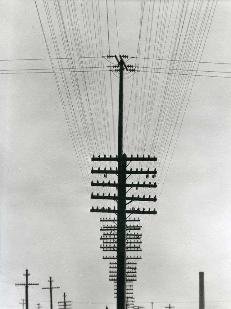 Tina Modotti: Photographer & Revolutionary