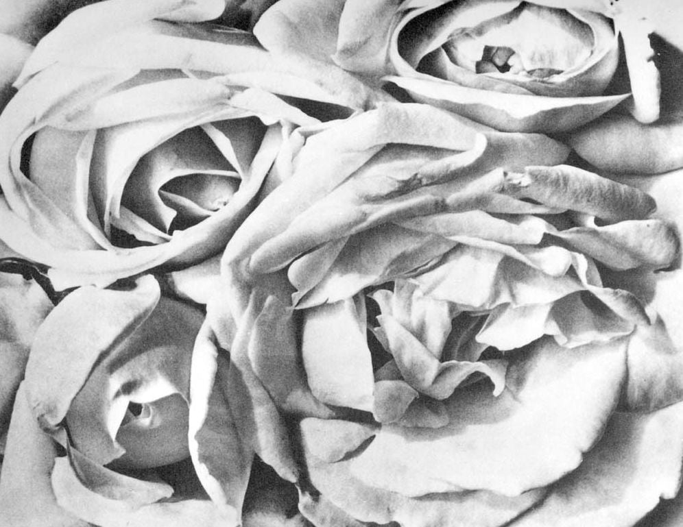 Tina Modotti: Photographer & Revolutionary