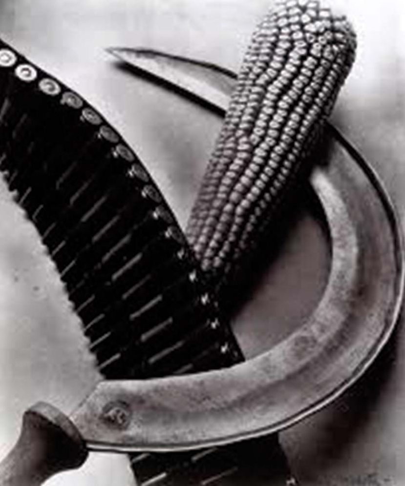 Tina Modotti: Photographer & Revolutionary