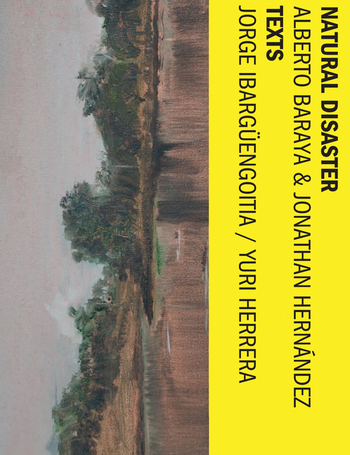 Alberto Baraya & Jonathan Hernï¿½ndez: Natural Disaster