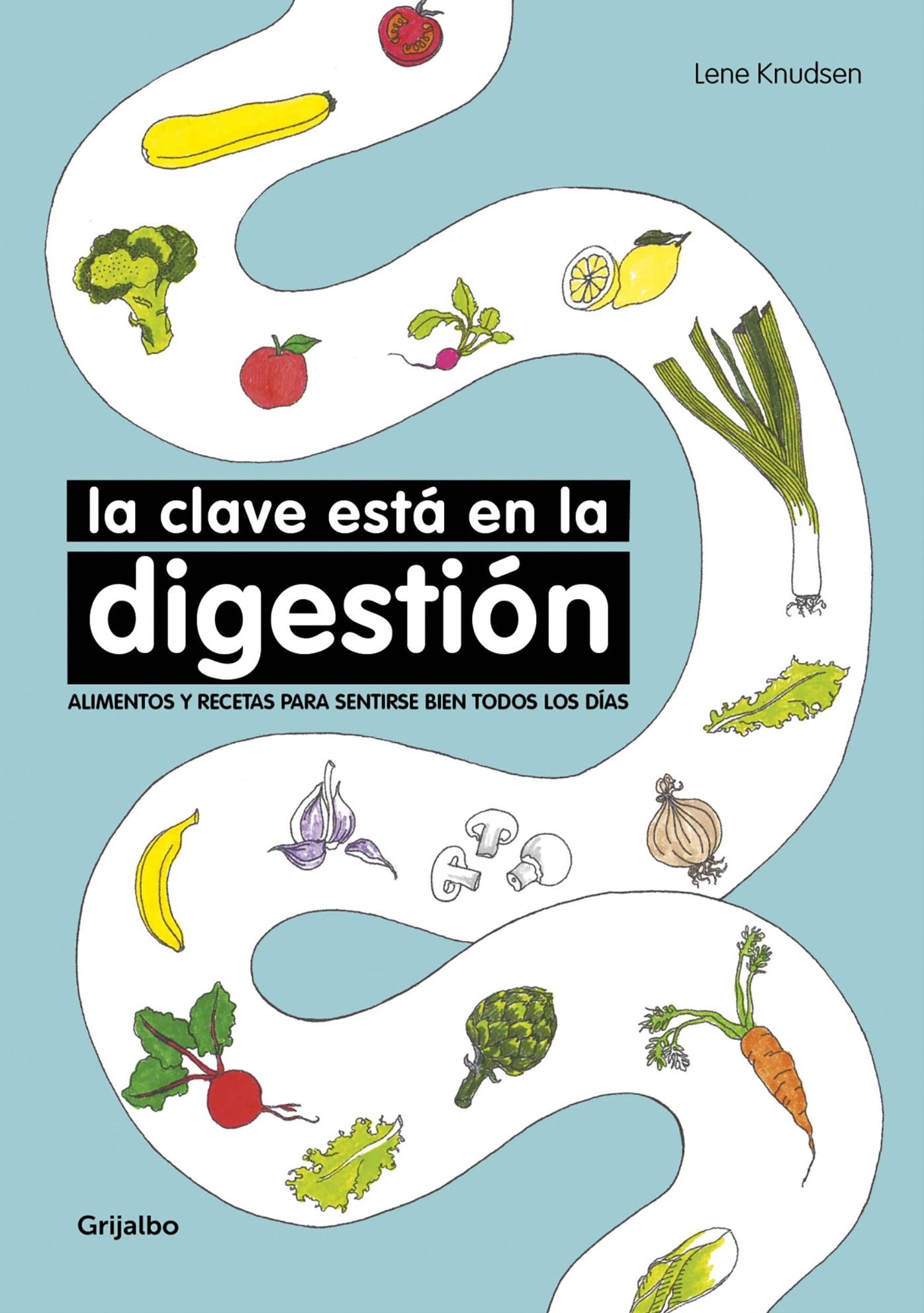 La clave esta en la digestion / Digestion is the Key. Foods and Recipes to Feel Better Everyday: Alimentos y recetas para sentirse biel todos los dias