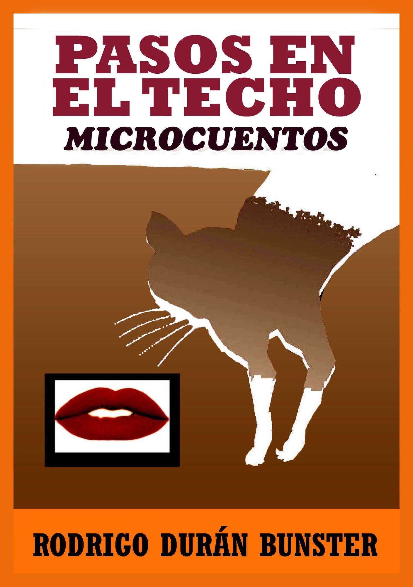 Pasos en el techo: Microcuentos