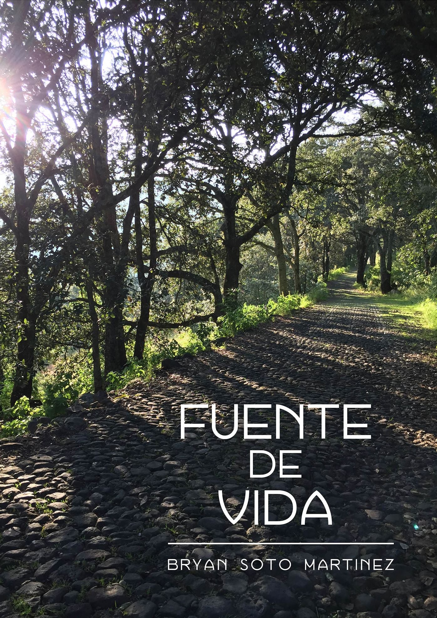 Fuente de la vida