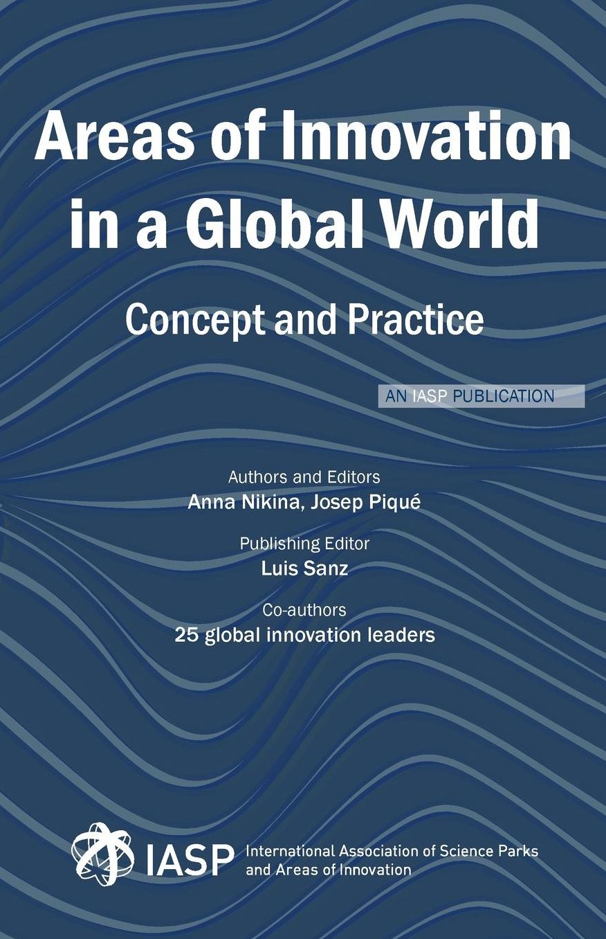 Areas of Innovation in a Global World: Concept and Practice