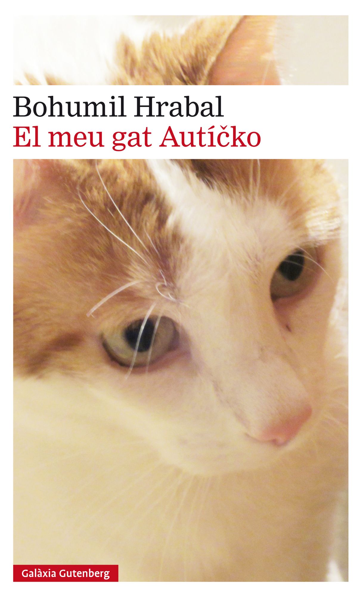 El meu gat Auticko