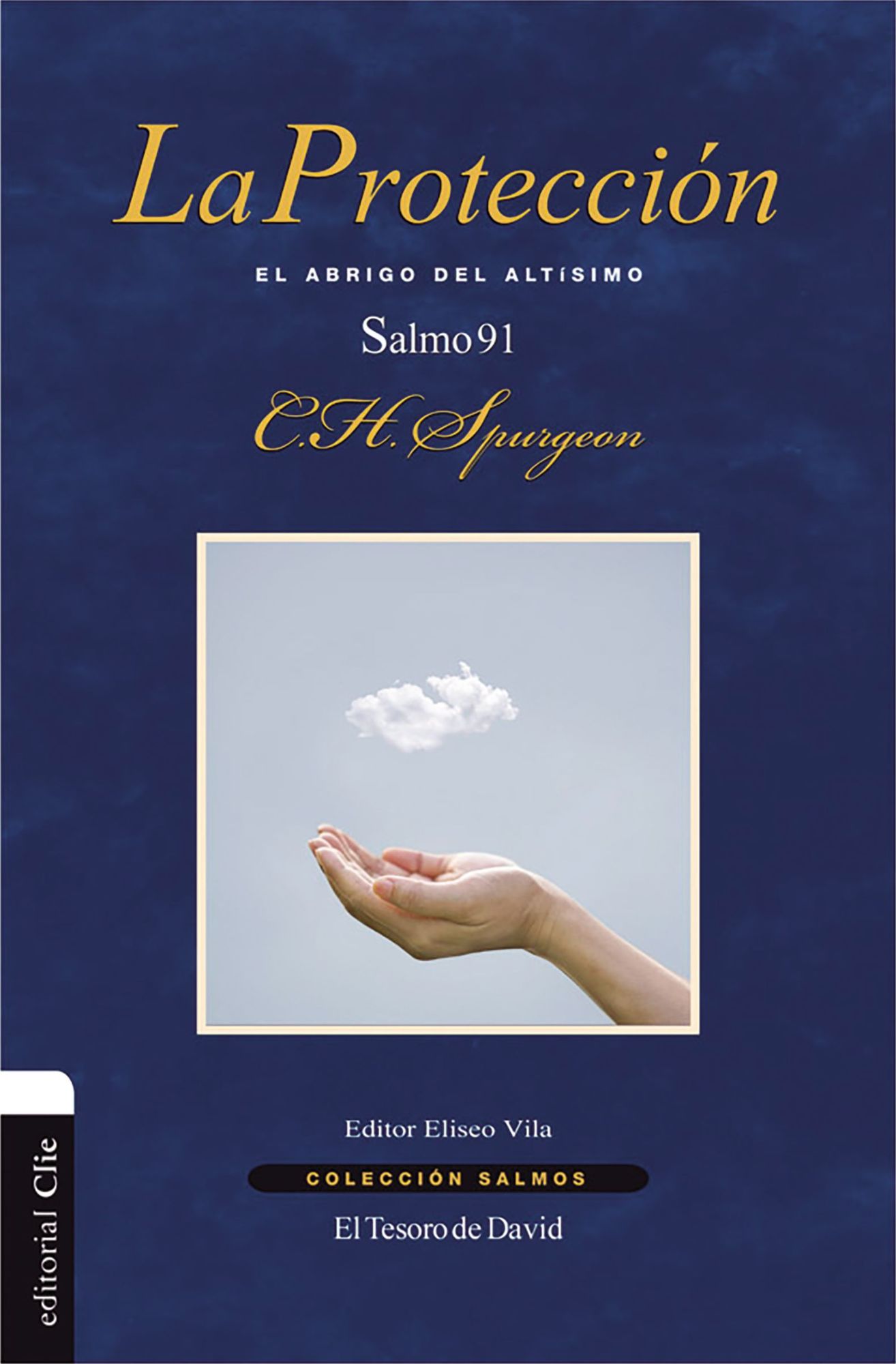 La Protecciï¿½n: El Abrigo del Altï¿½simo. Salmo 91