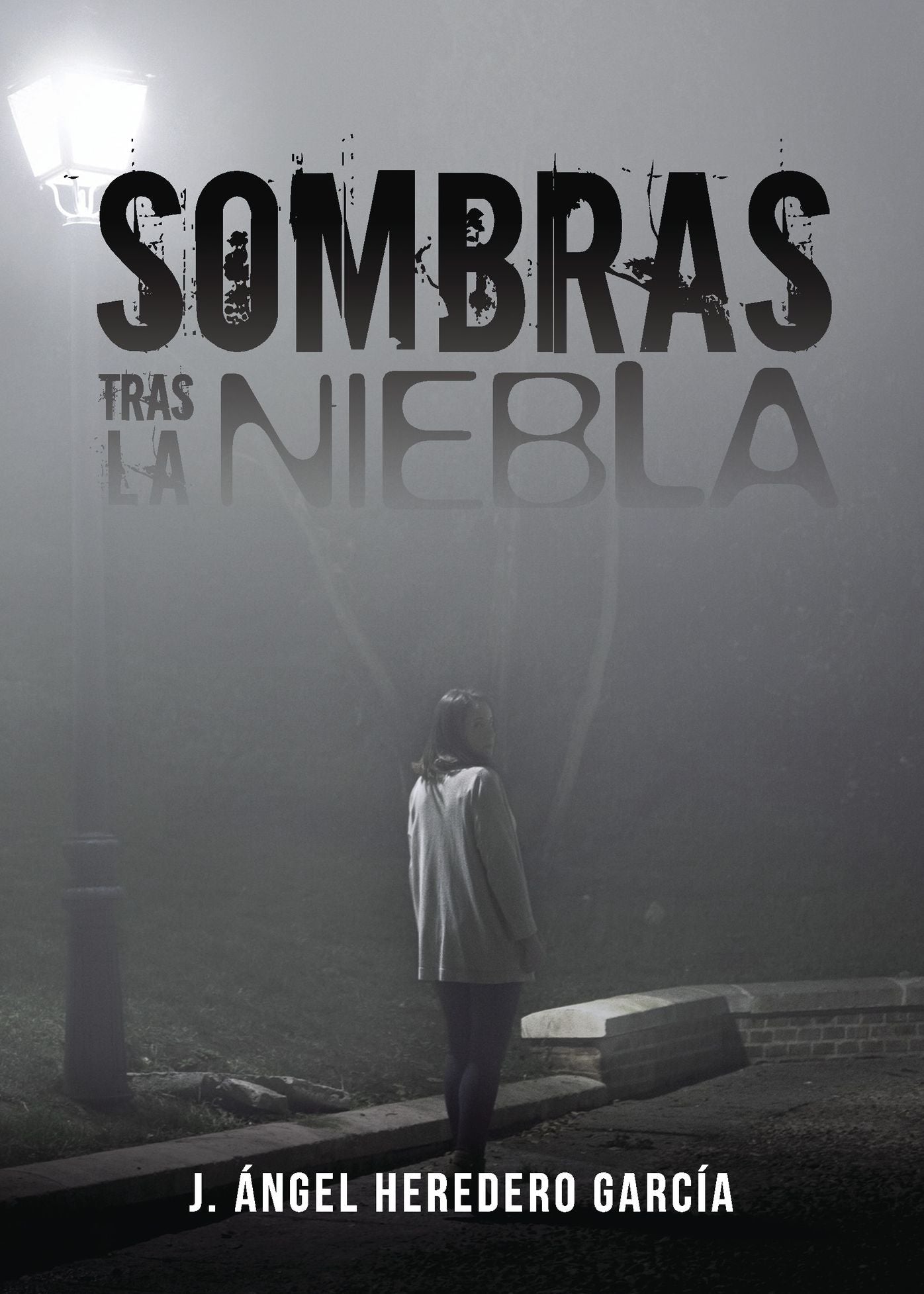 Sombras tras la niebla