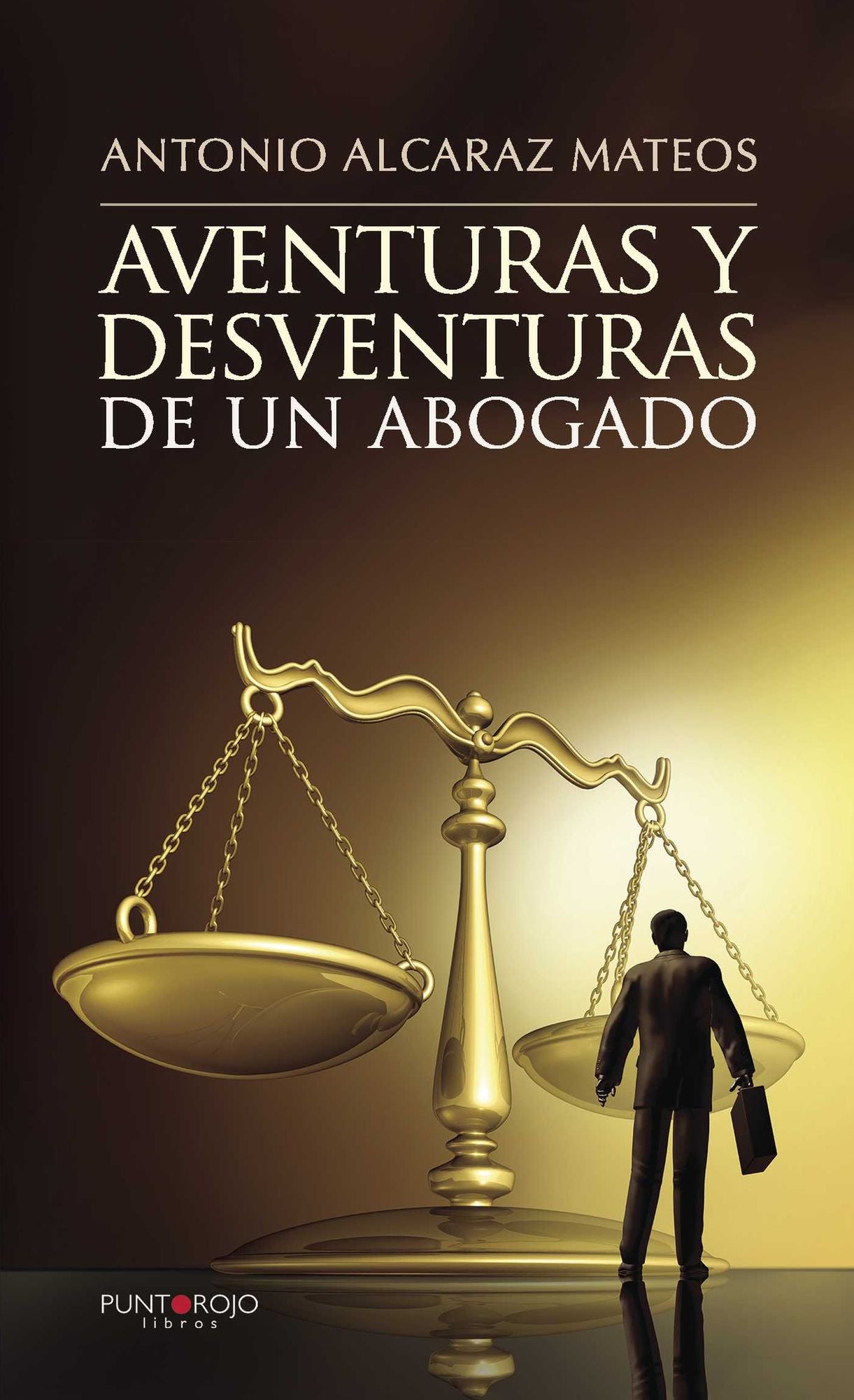 Aventuras y desventuras de un abogado
