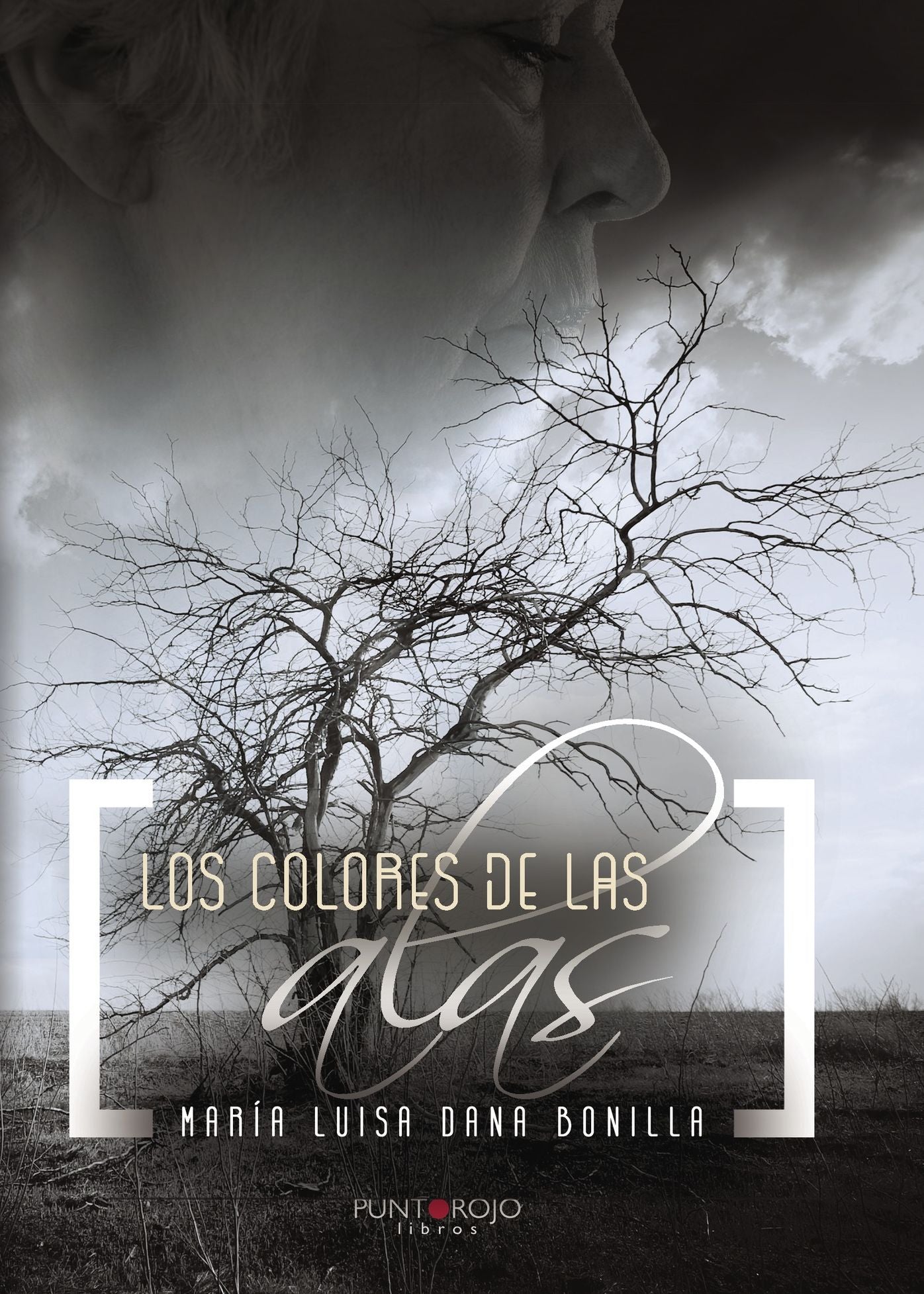 Los Colores de las Alas