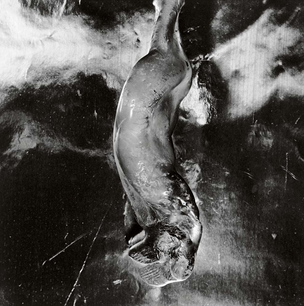 Shomei Tomatsu