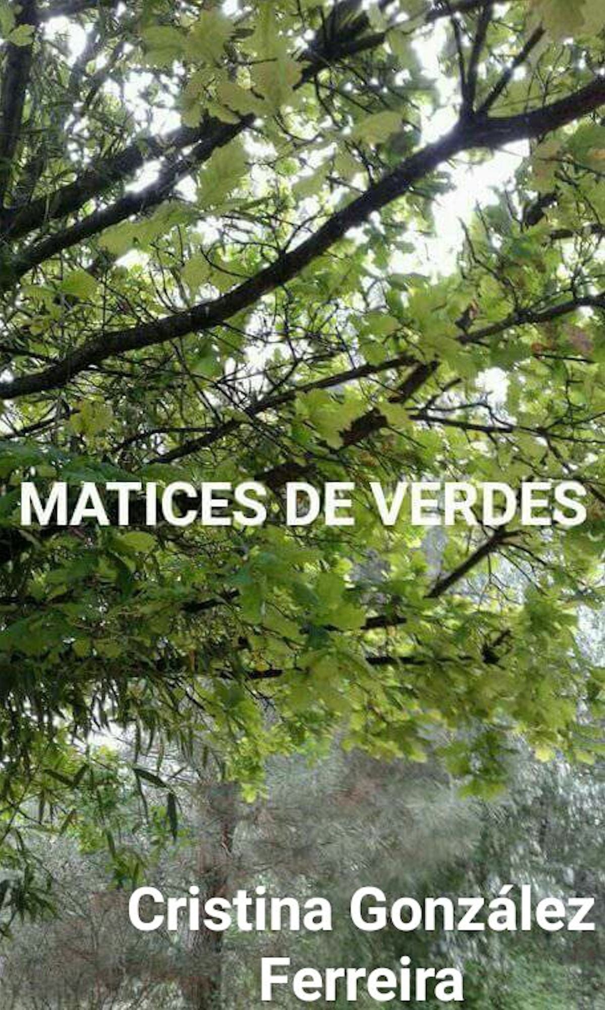 Matices de verde: Foto poemas