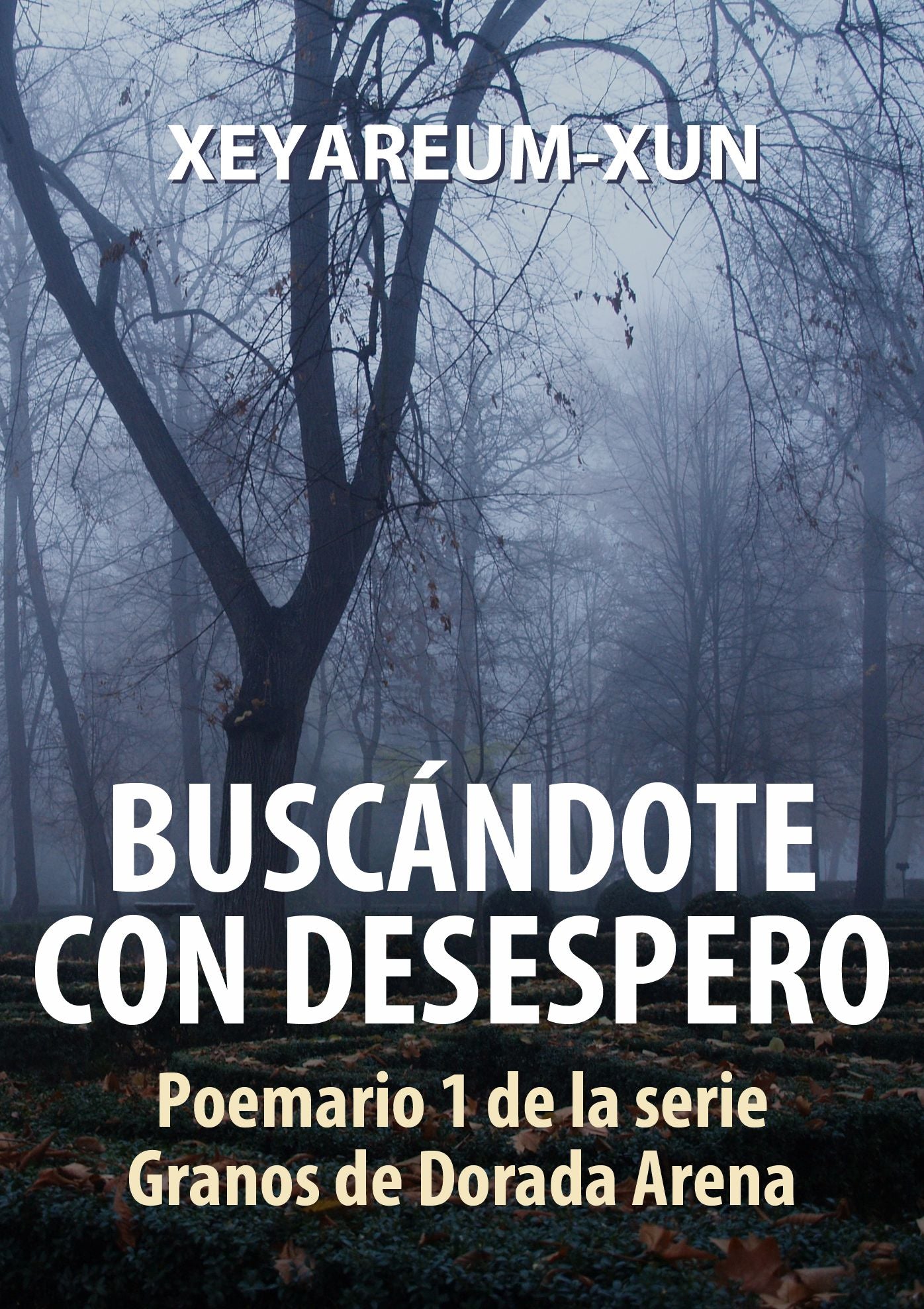Buscándote con Desespero: Poemario 1 de la serie Granos de Dorada Arena