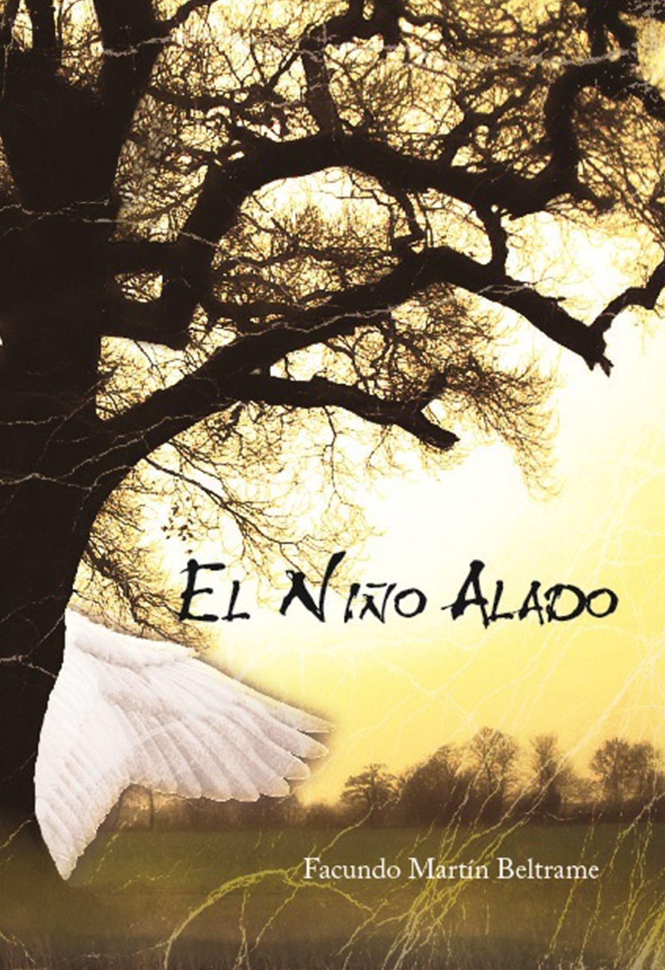 El niño alado