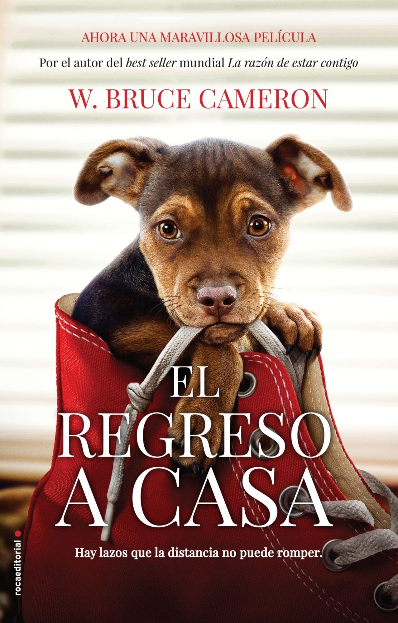 El regreso a casa / A Dog's Way Home