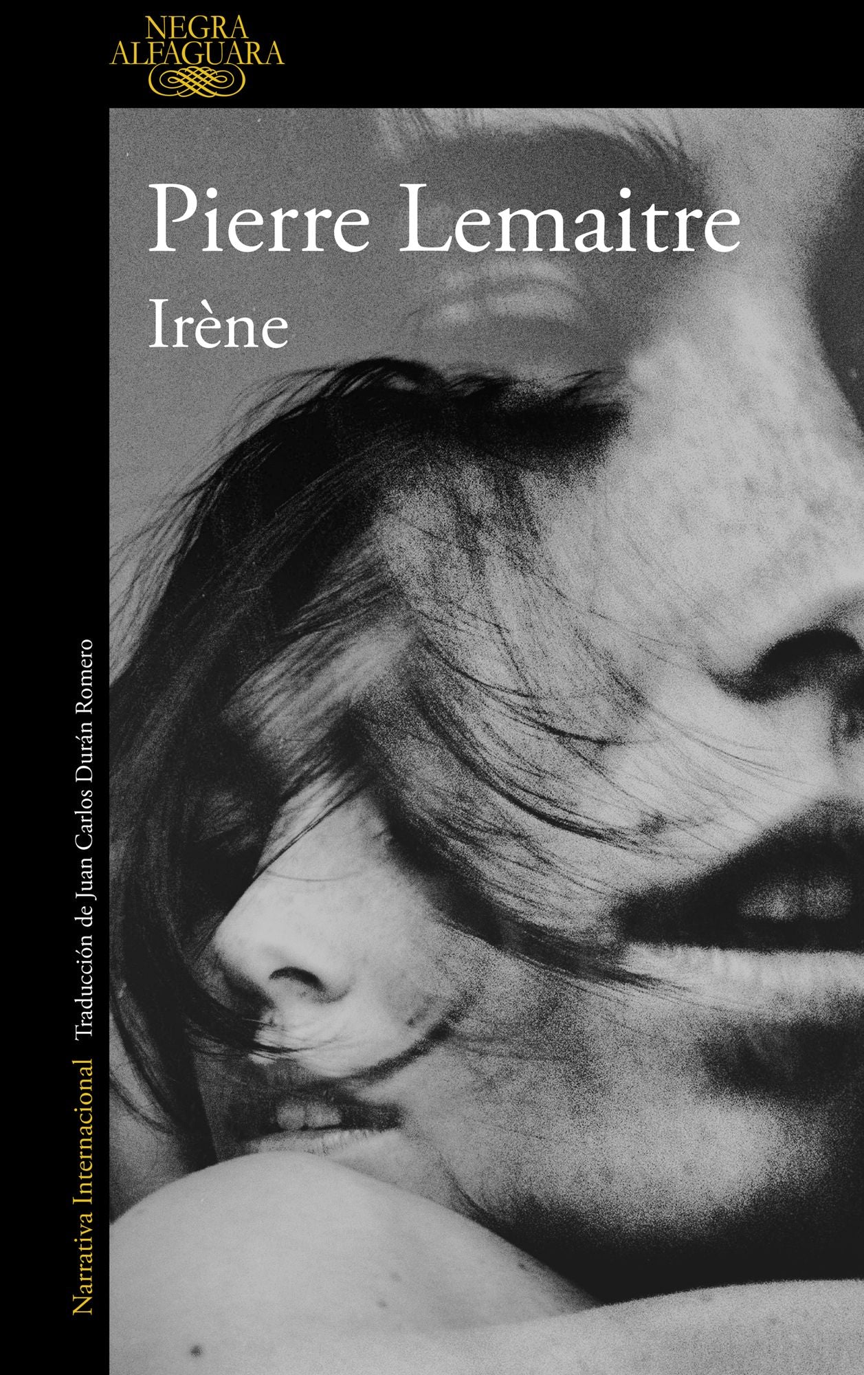 IrÃ¨ne (Un caso del comandante Camille Verhoeven 1)