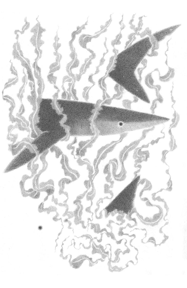 Veinte mil leguas de viaje submarino / Twenty Thousand Leagues Under the Sea