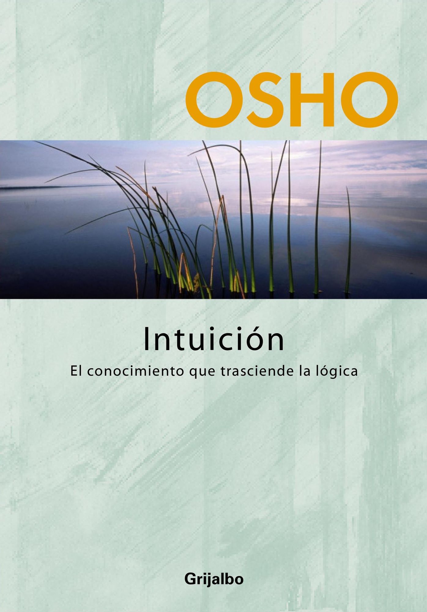 IntuiciÃ³n (Claves para una nueva forma de vivir): El conocimiento que trasciende la lÃ³gica