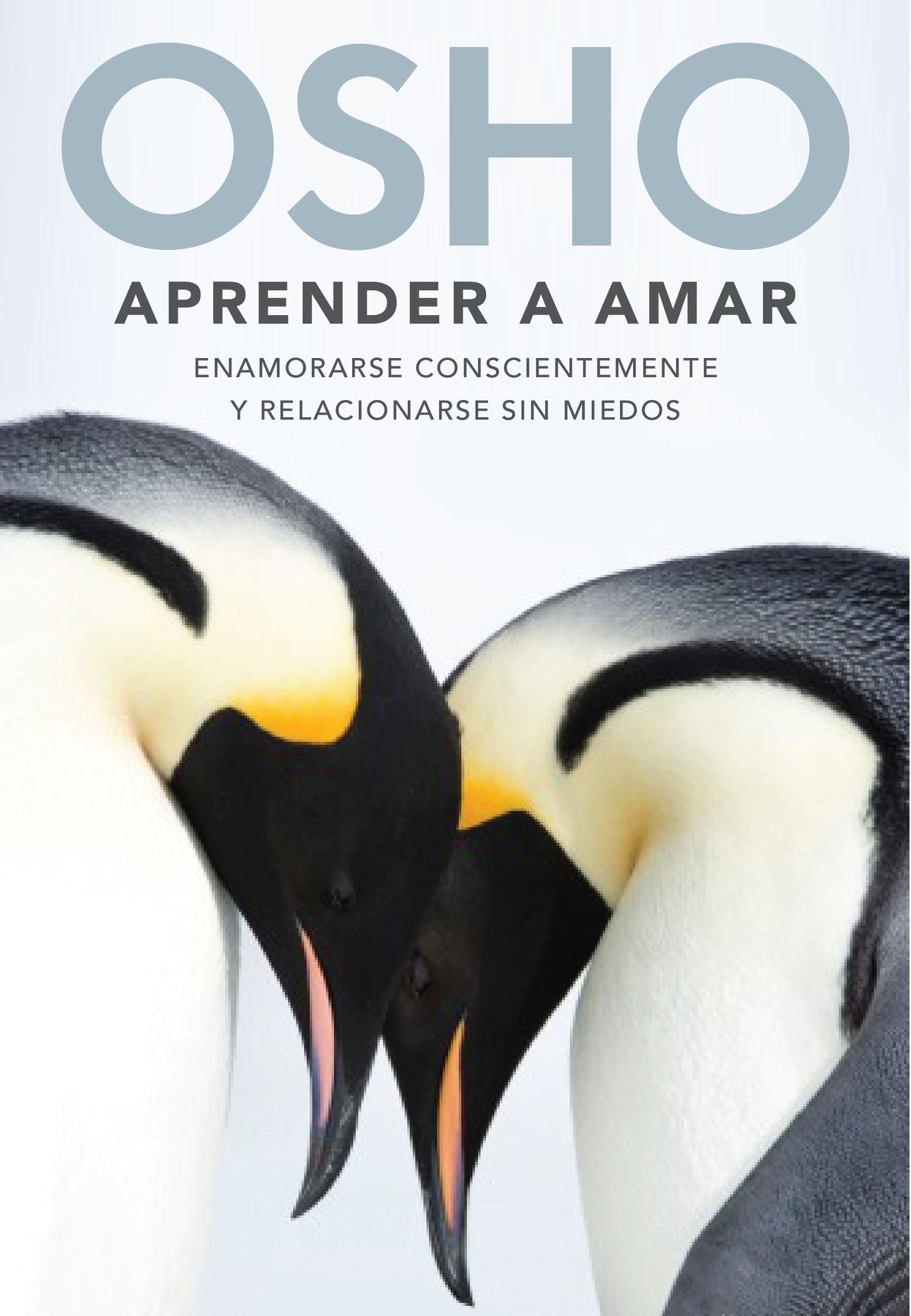 Aprender a amar: Enamorarse conscientemente y relacionarse sin miedos