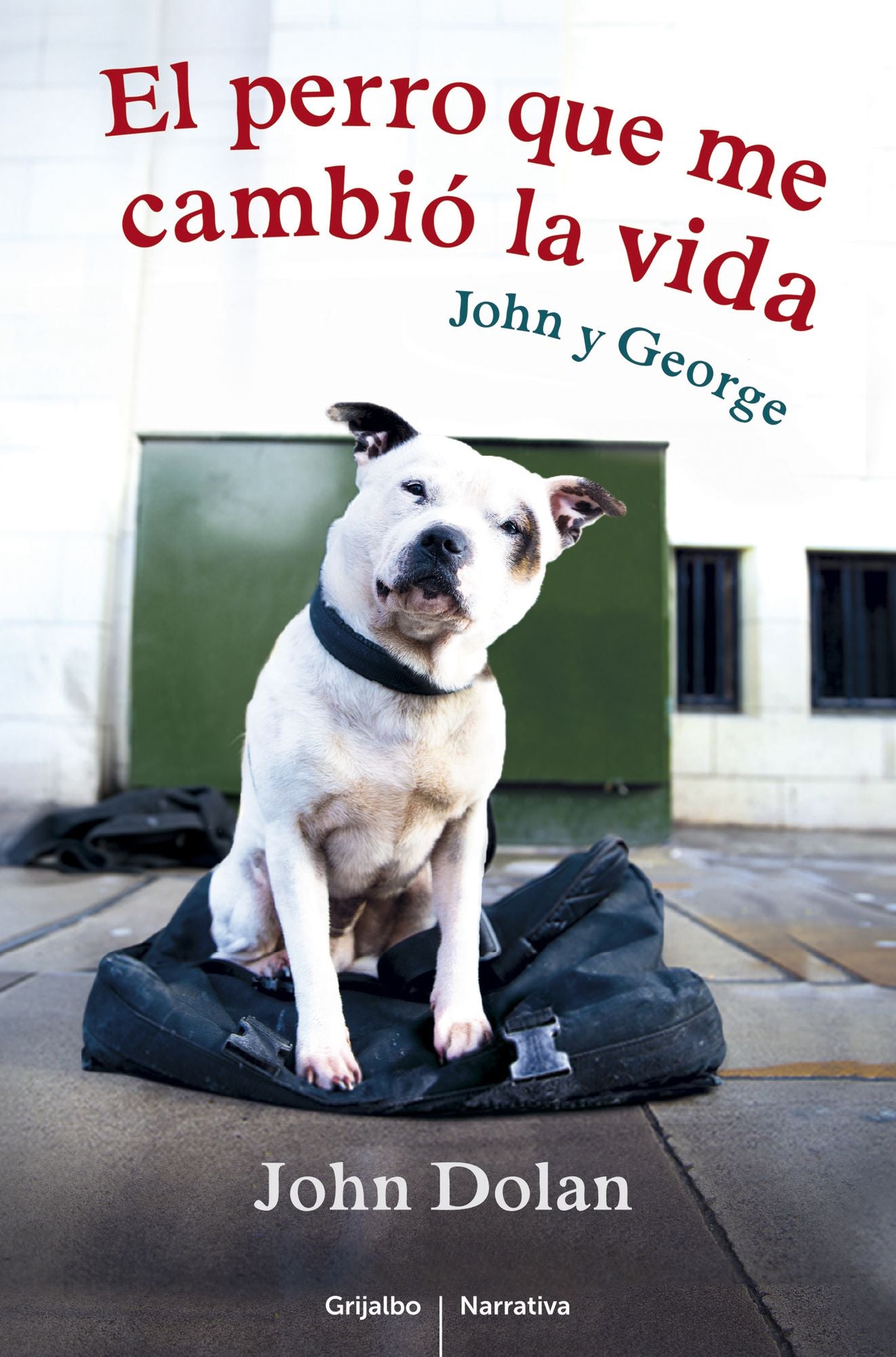 El perro que me cambió la vida: John y George