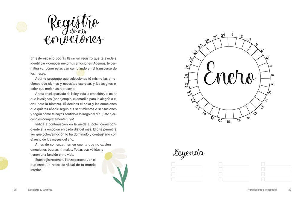 Despierta de gratitud / Awaken Your Gratitude: 5 Minutes a Day to Improve Your Life